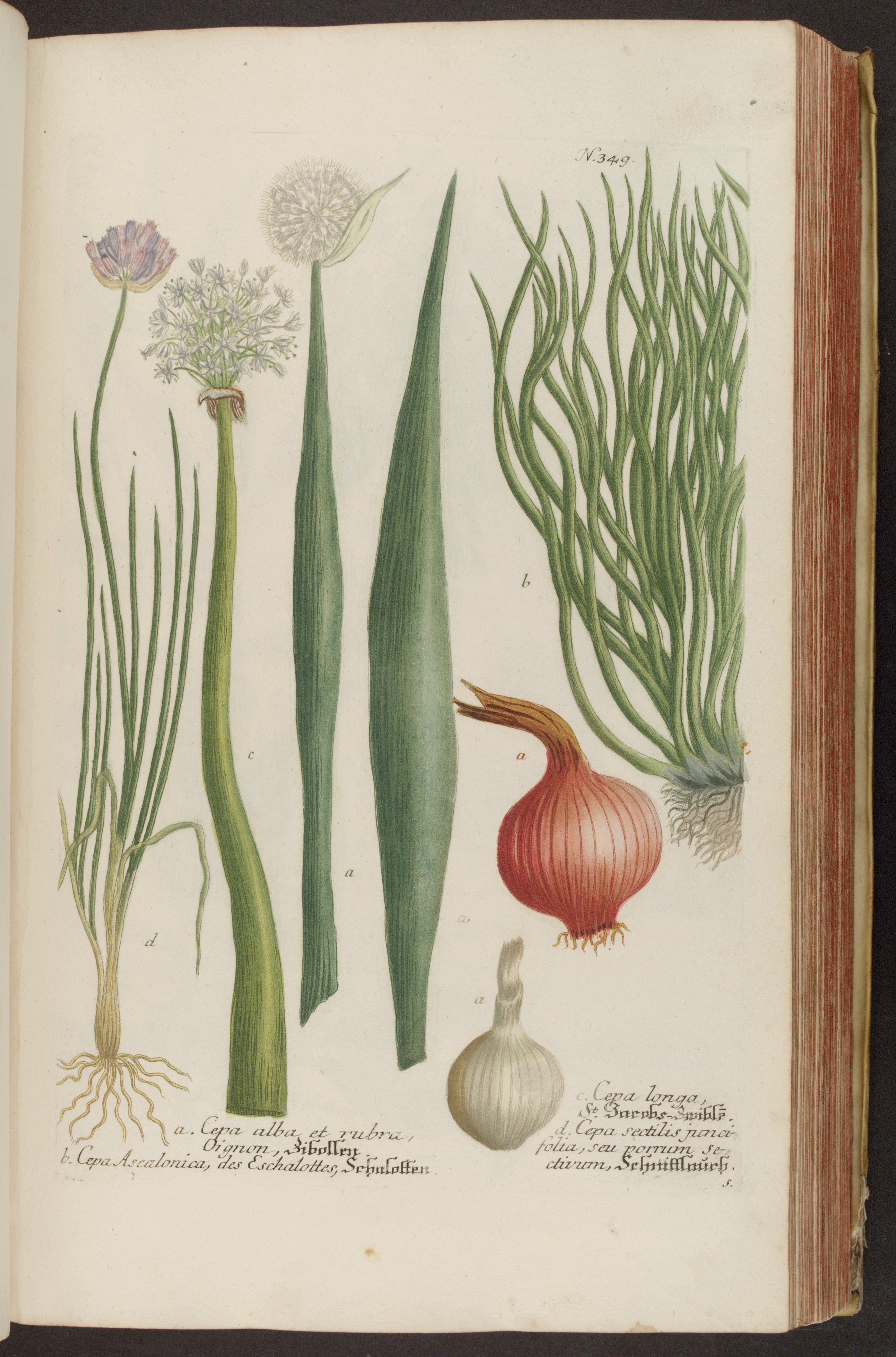 no full size  illustration available (3a)