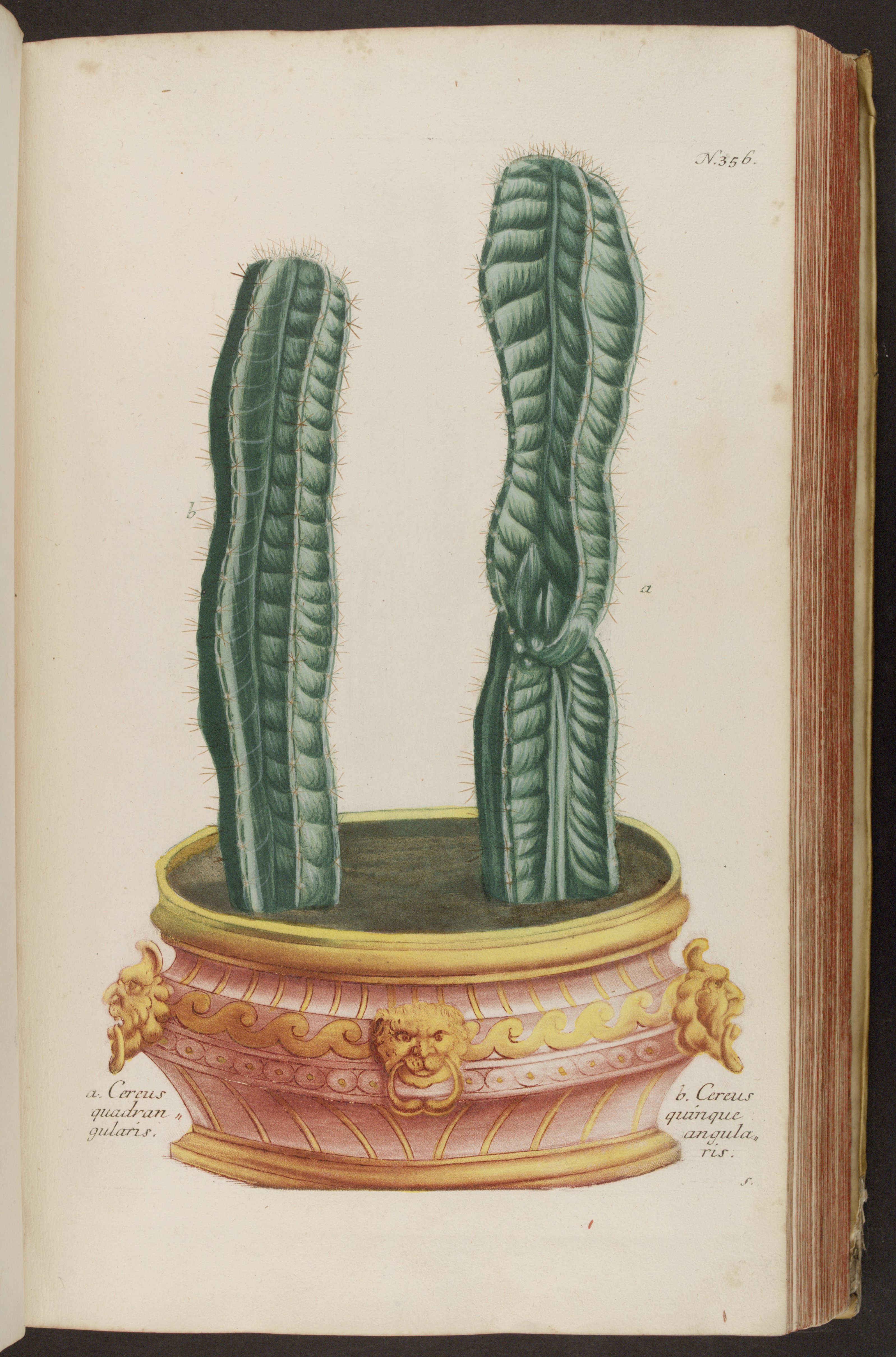 no full size  illustration available (3a)