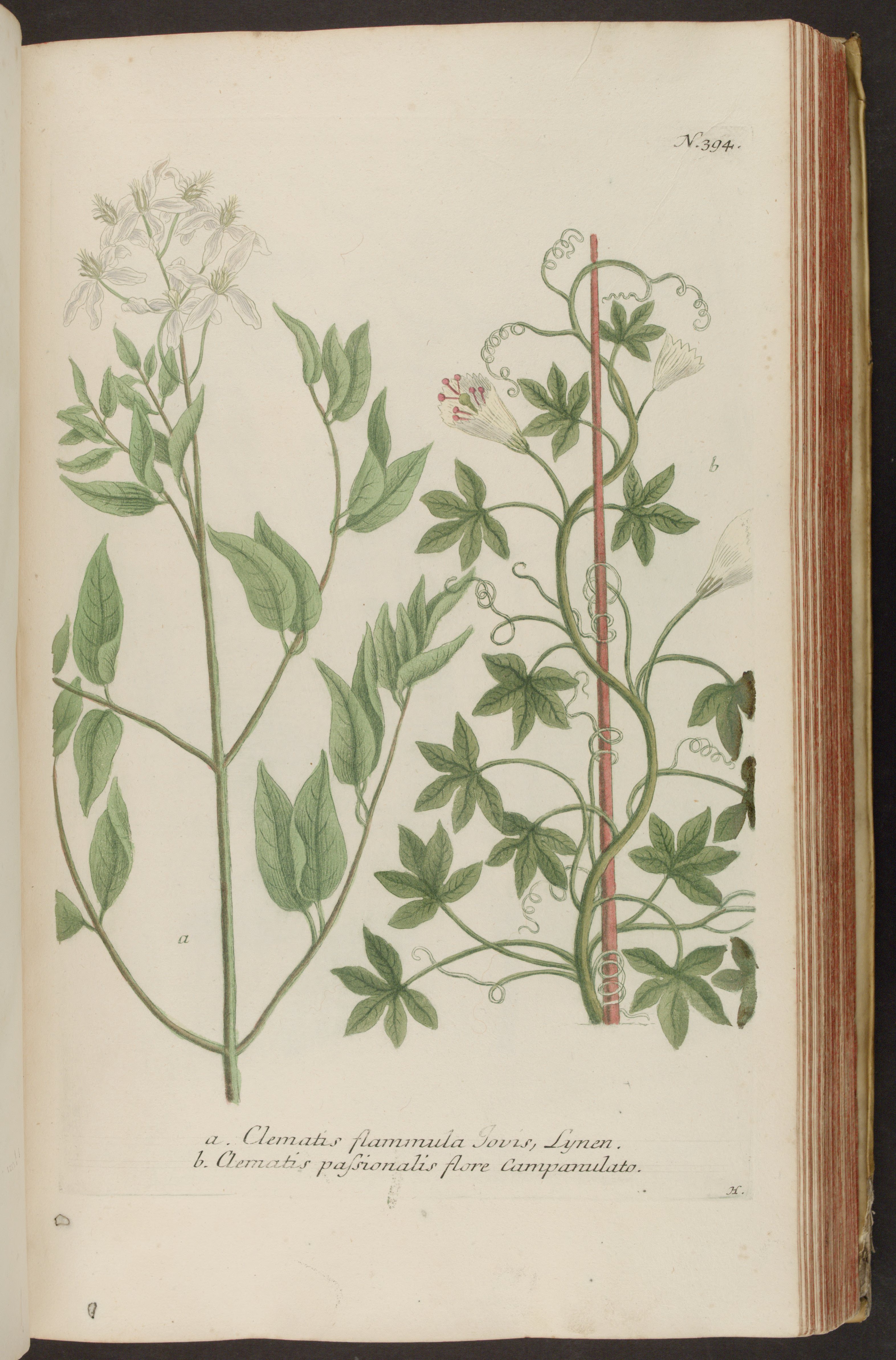 no full size  illustration available (3a)