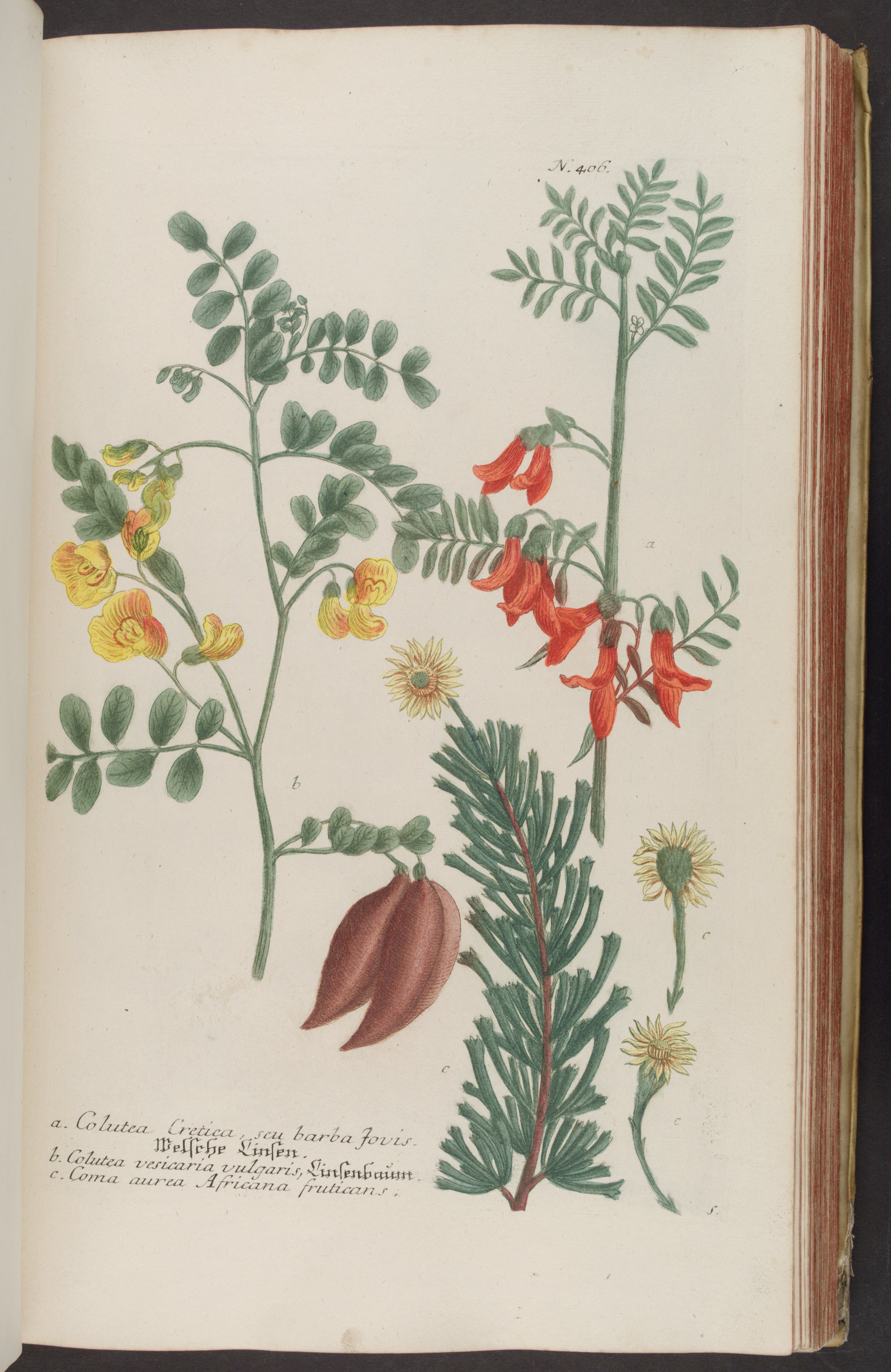 no full size  illustration available (3a)