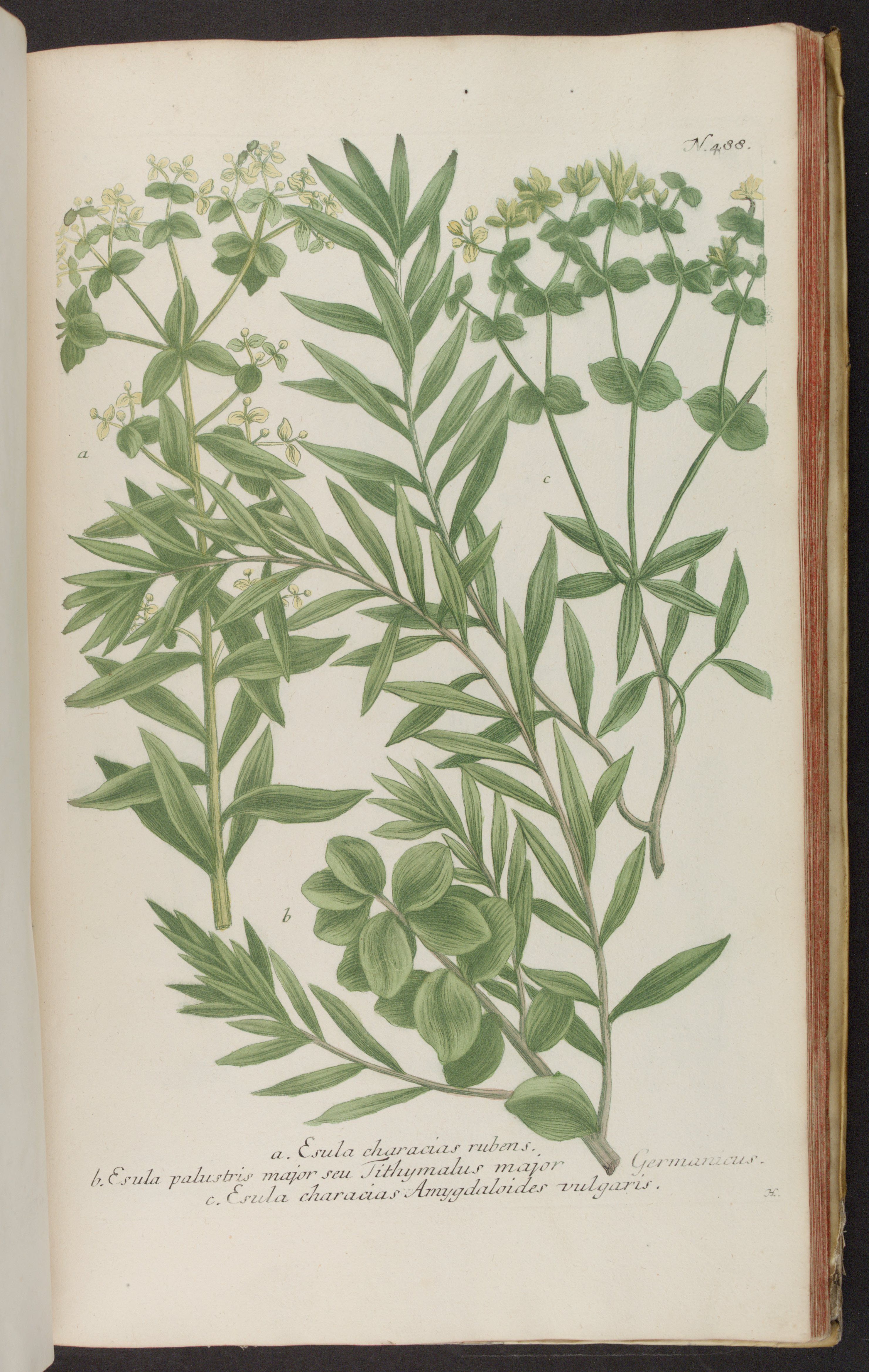 no full size  illustration available (3a)