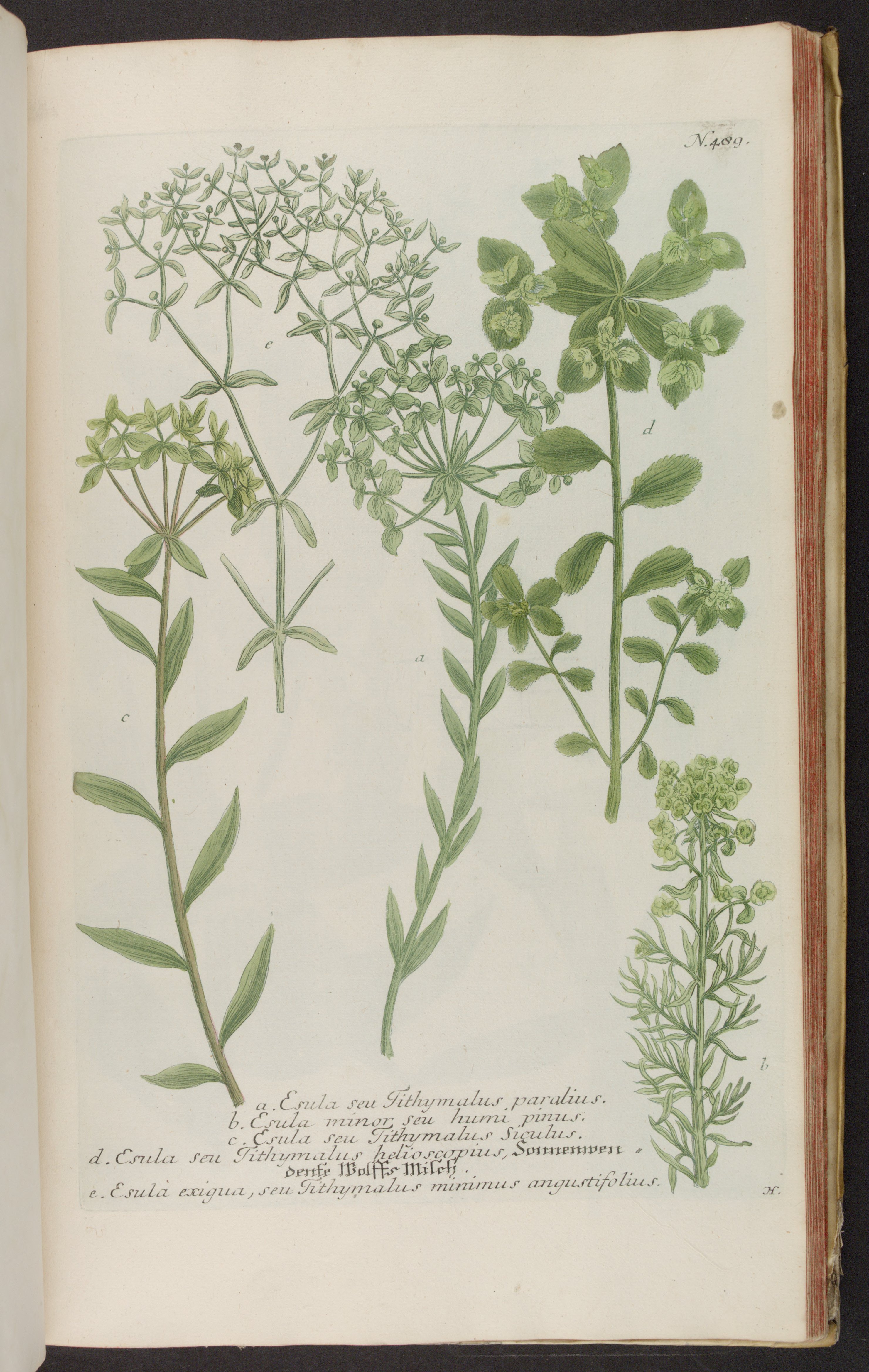 no full size  illustration available (3a)