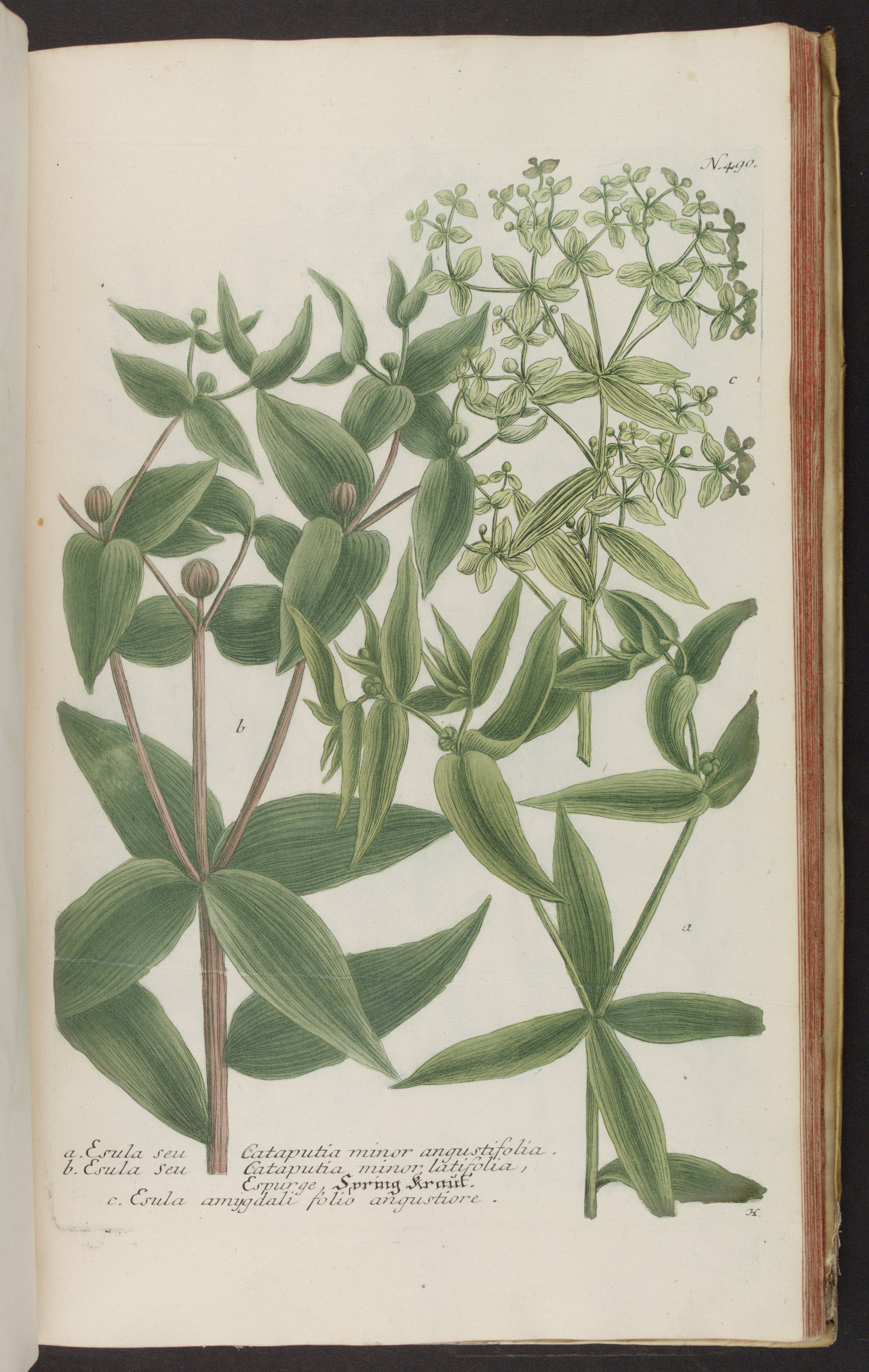 no full size  illustration available (3a)