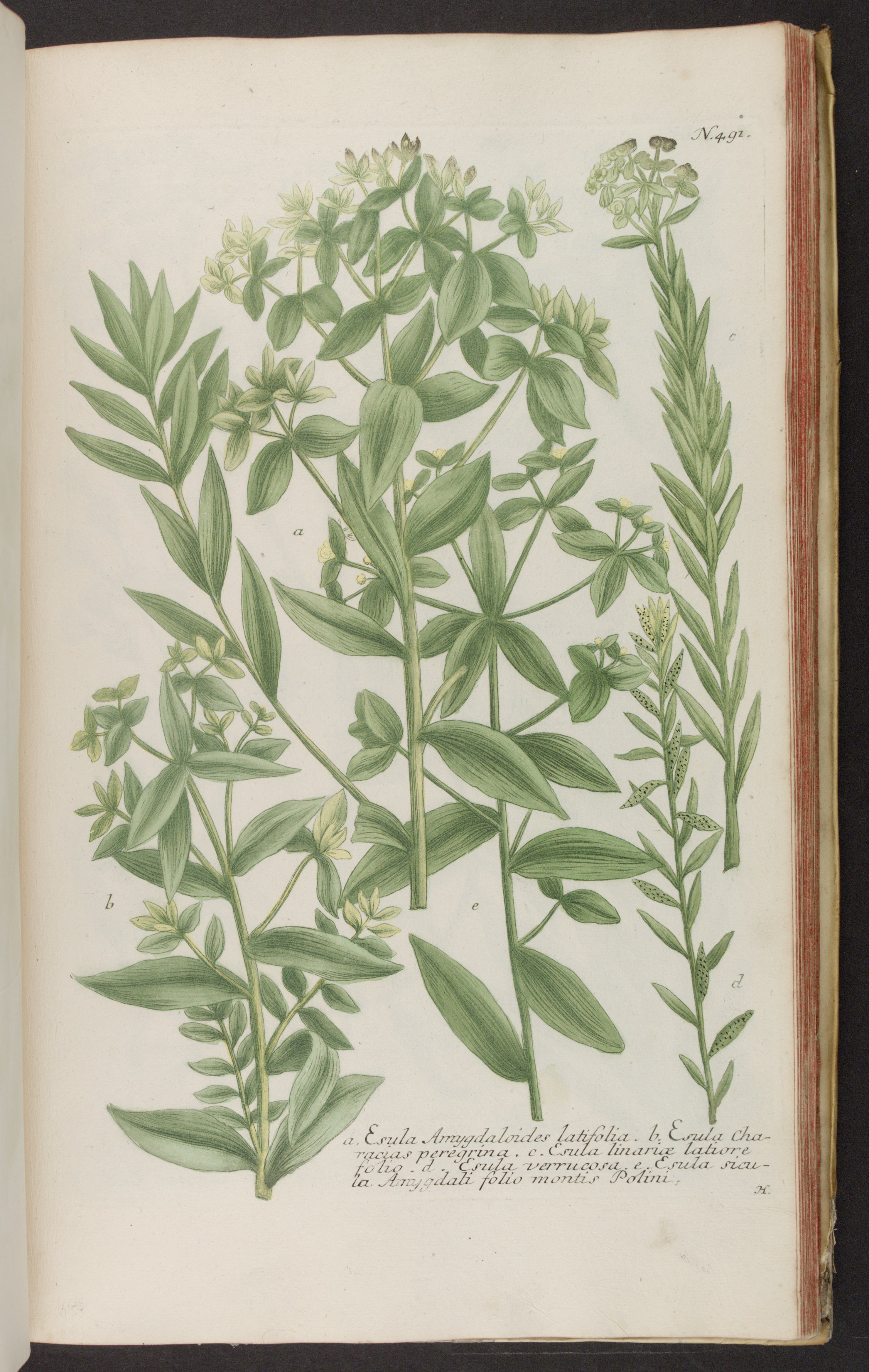 no full size  illustration available (3a)