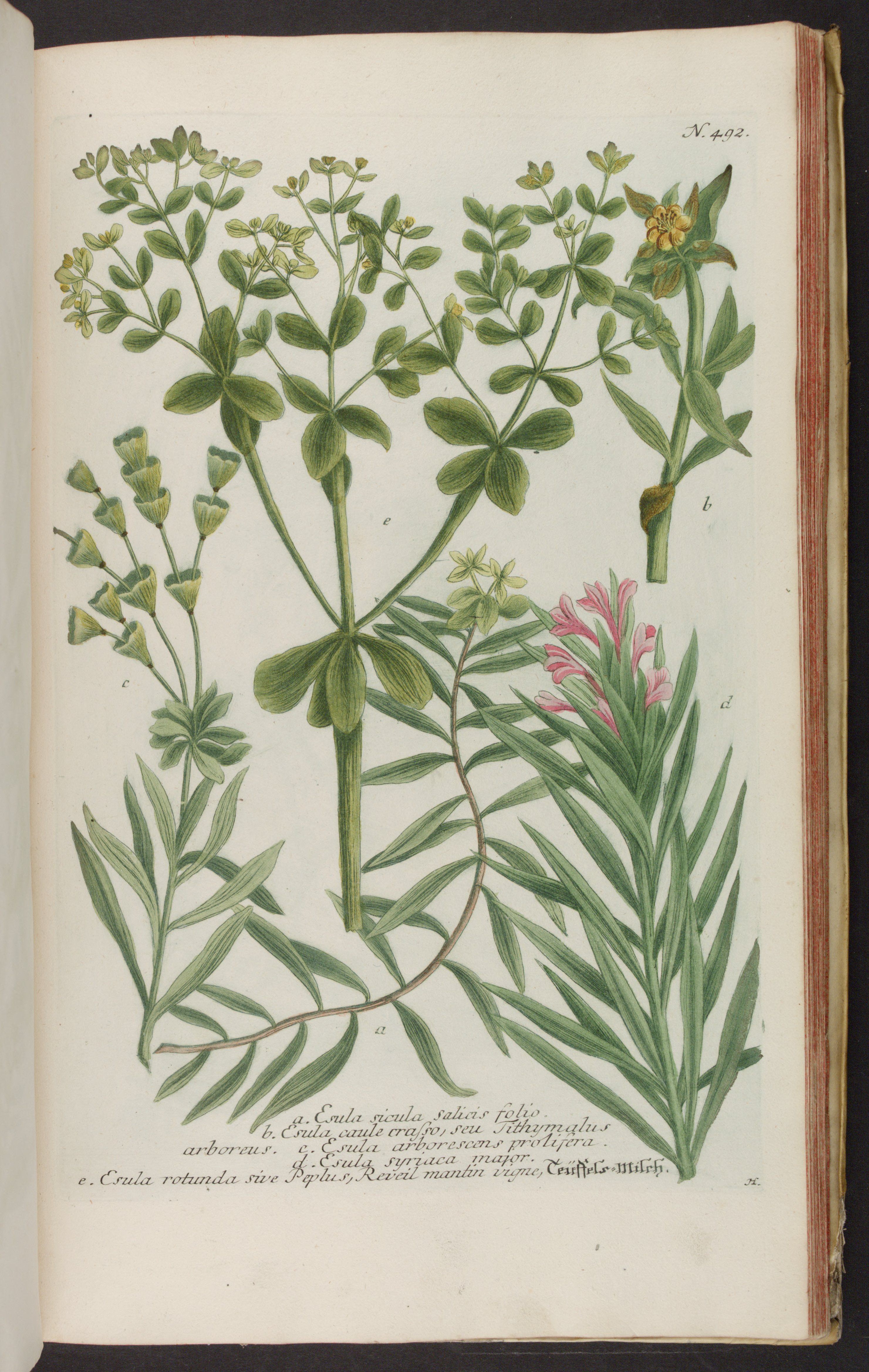 no full size  illustration available (3a)