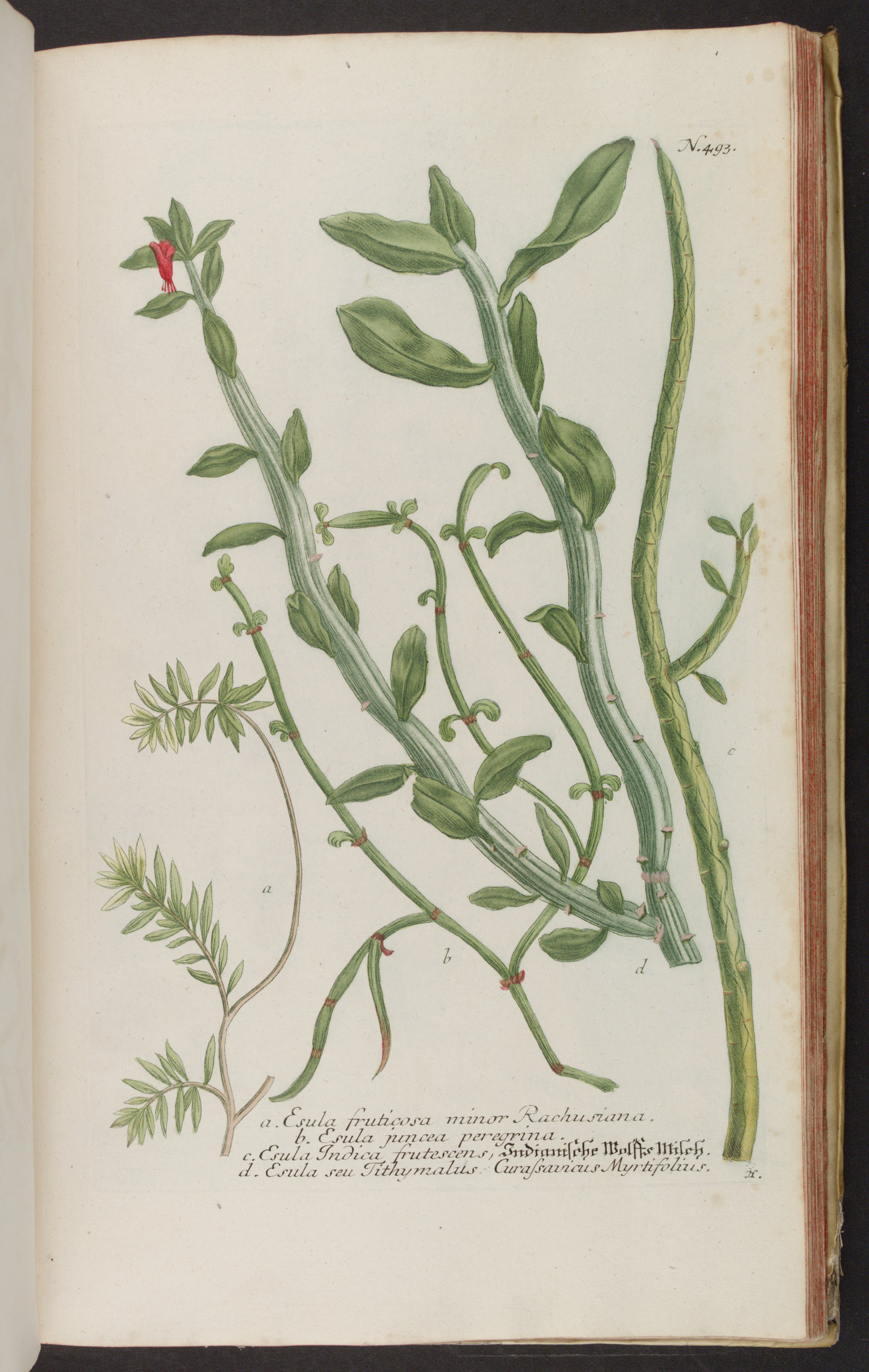 no full size  illustration available (3a)