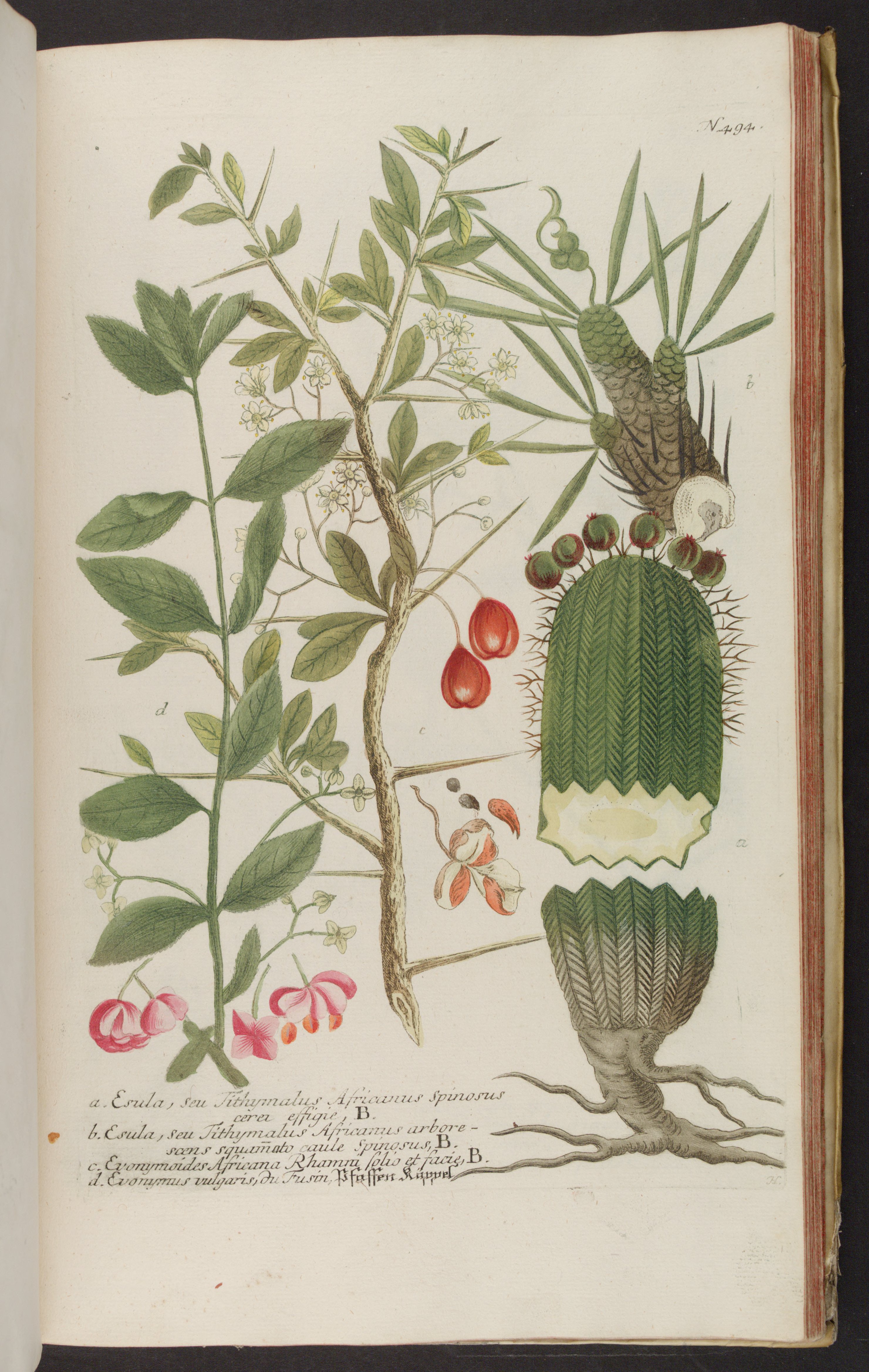 no full size  illustration available (3a)