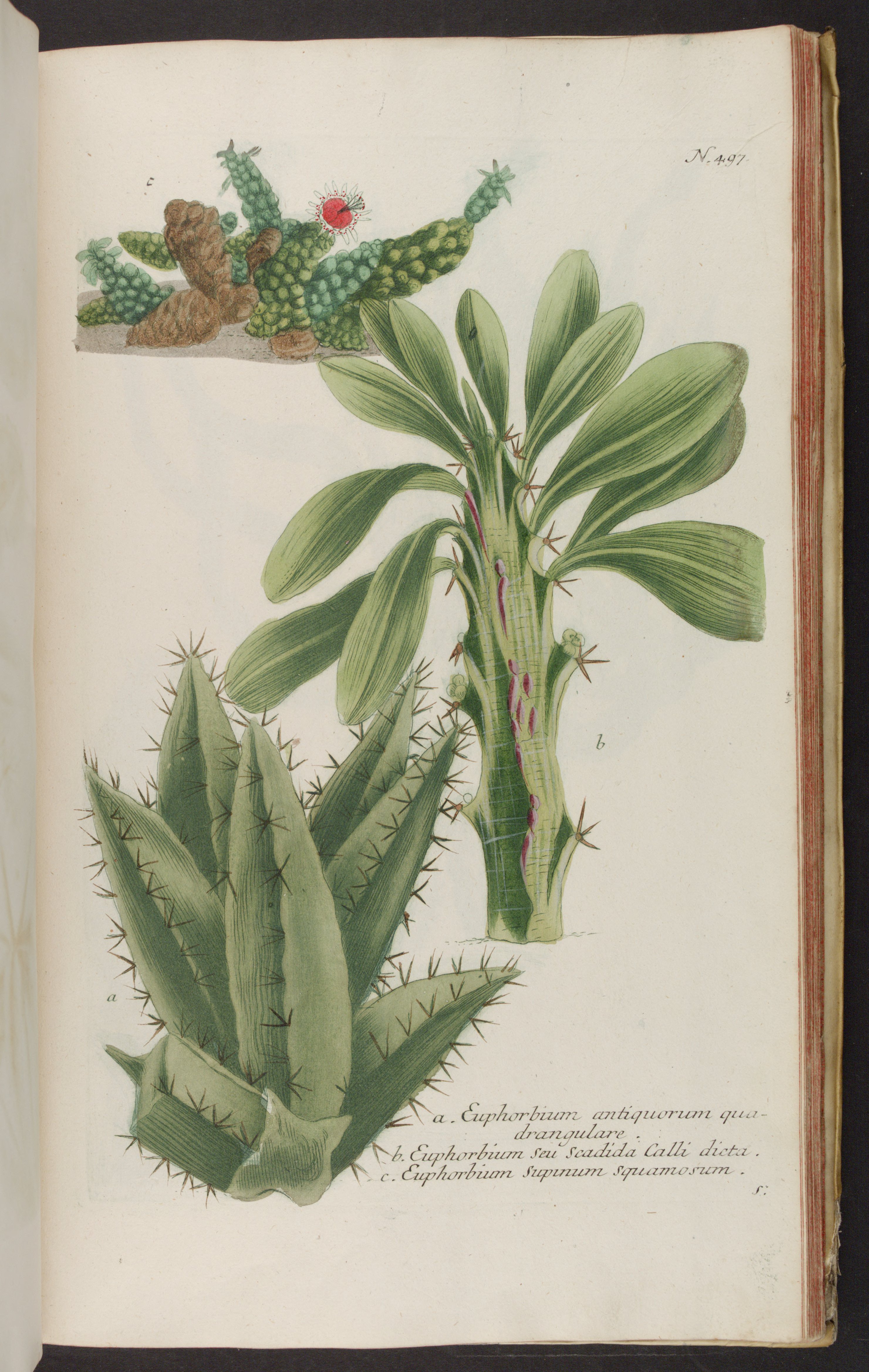 no full size  illustration available (3a)