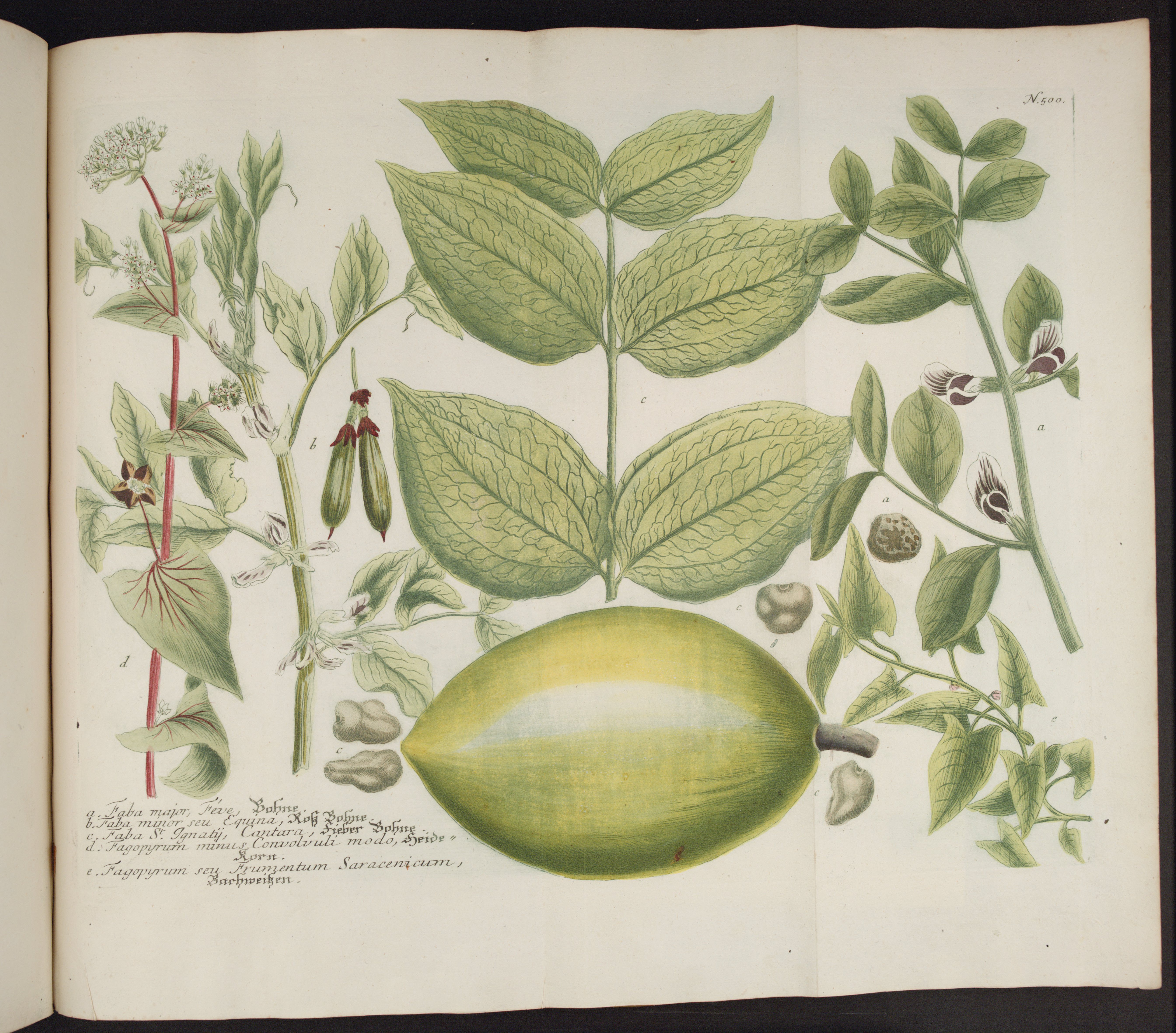 no full size  illustration available (3a)