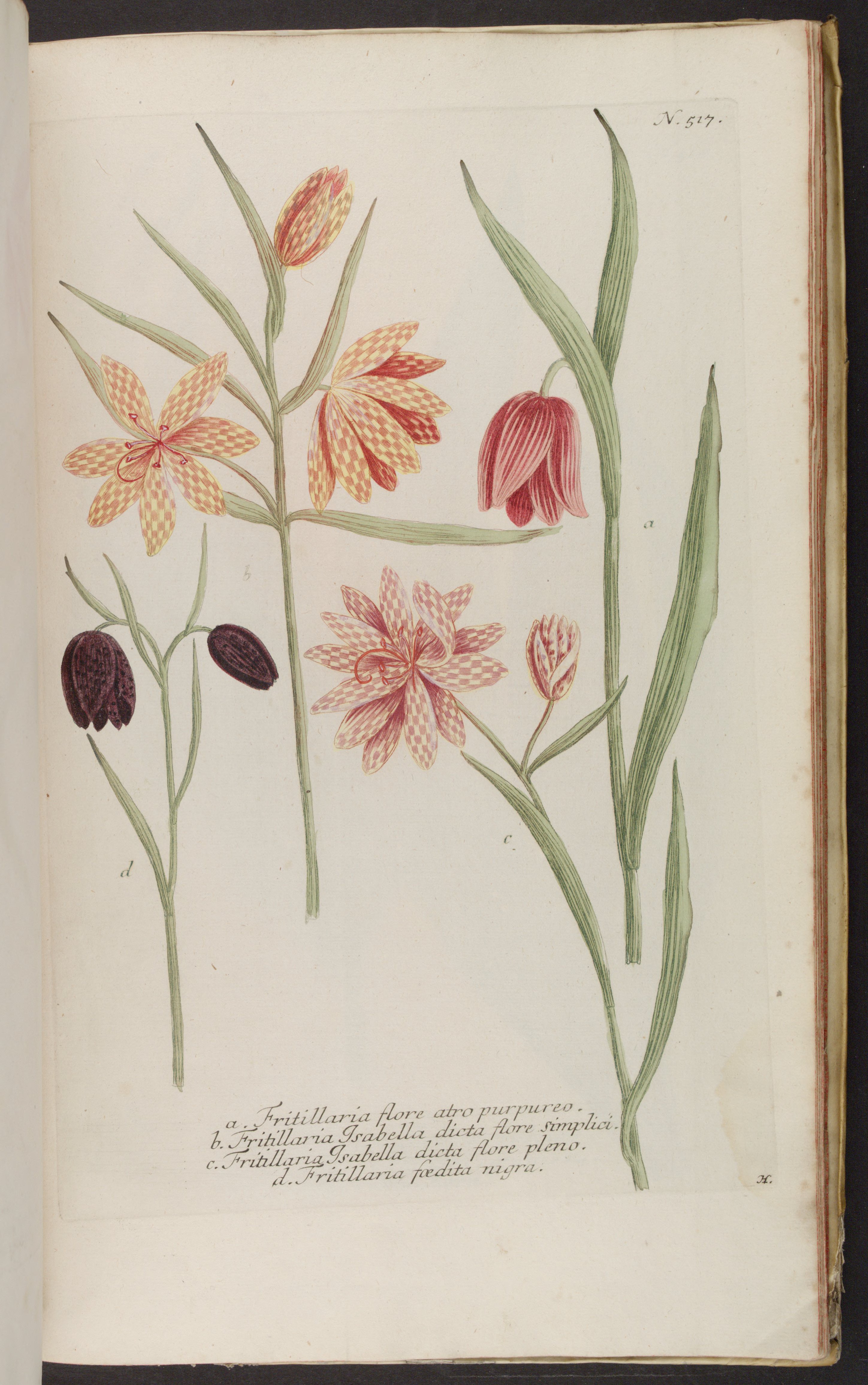 no full size  illustration available (3a)