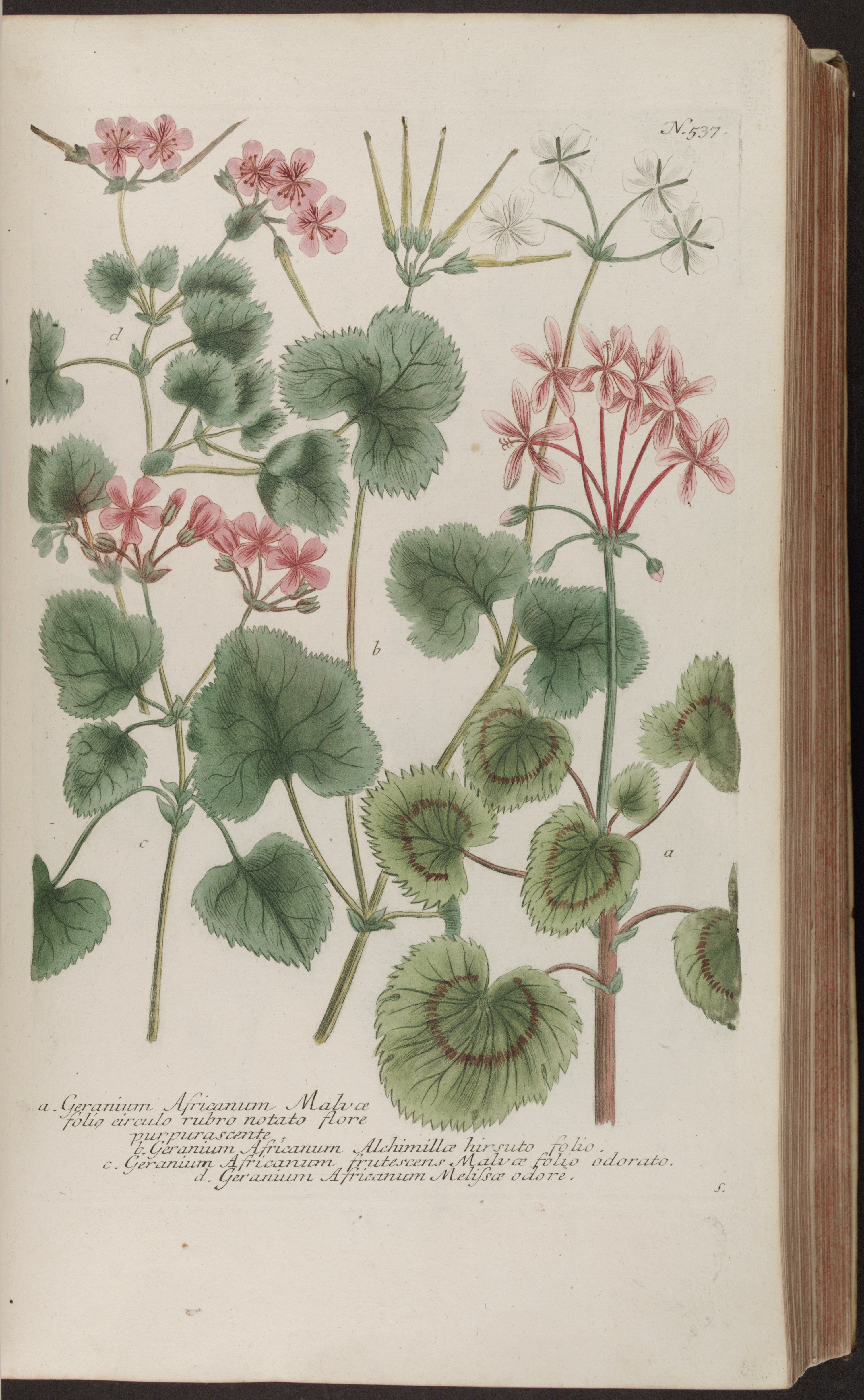 no full size  illustration available (3a)