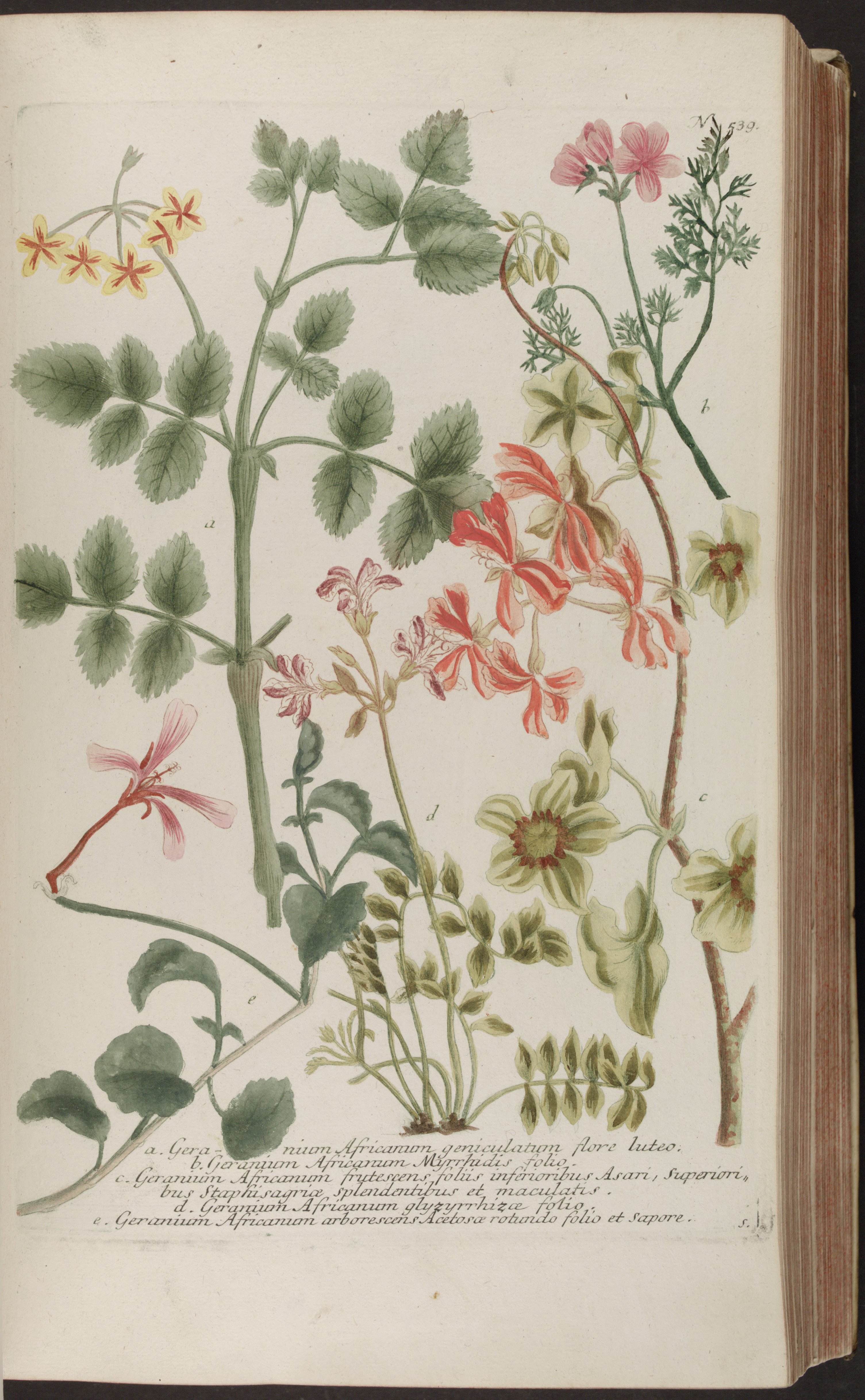 no full size  illustration available (3a)