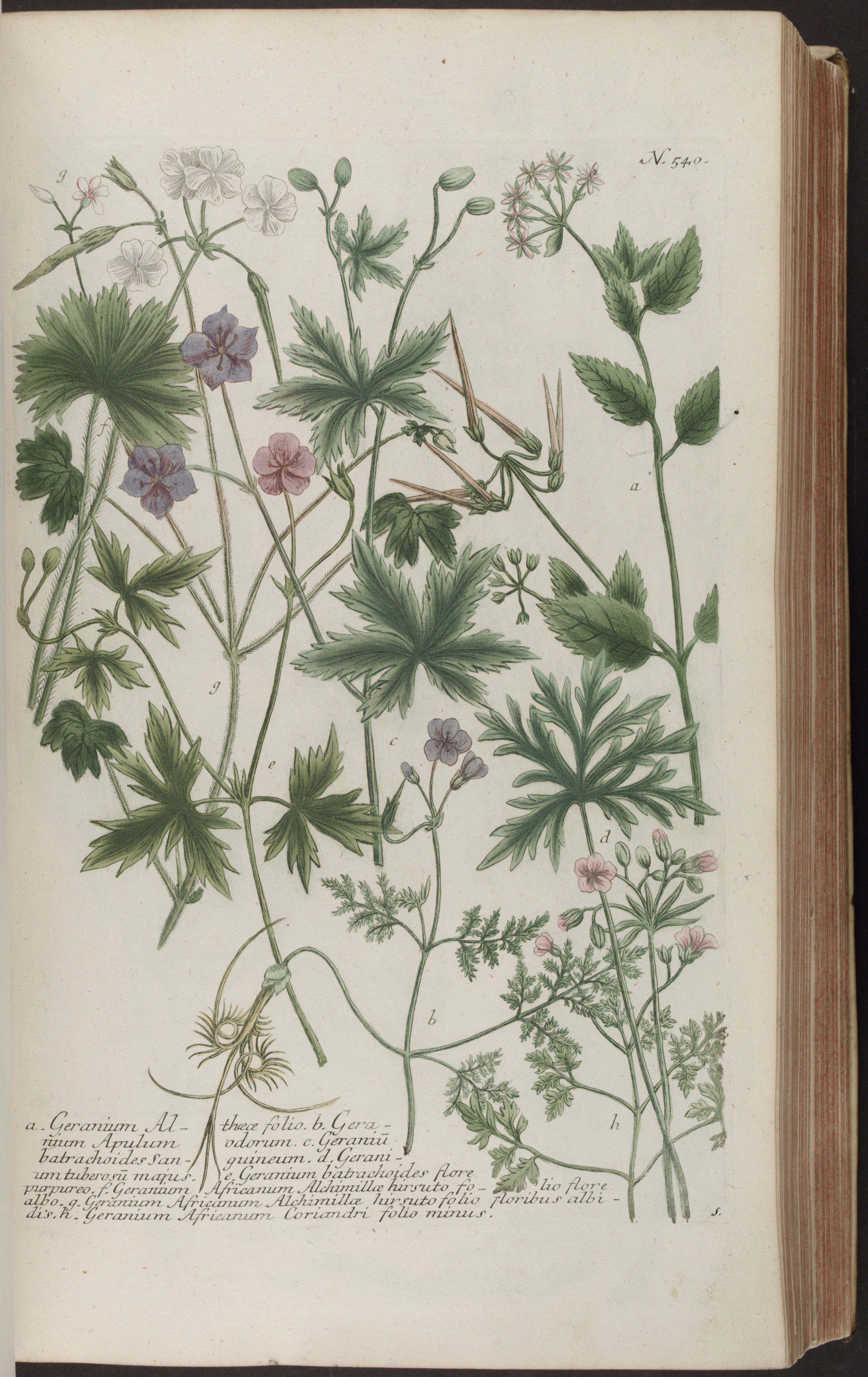 no full size  illustration available (3a)