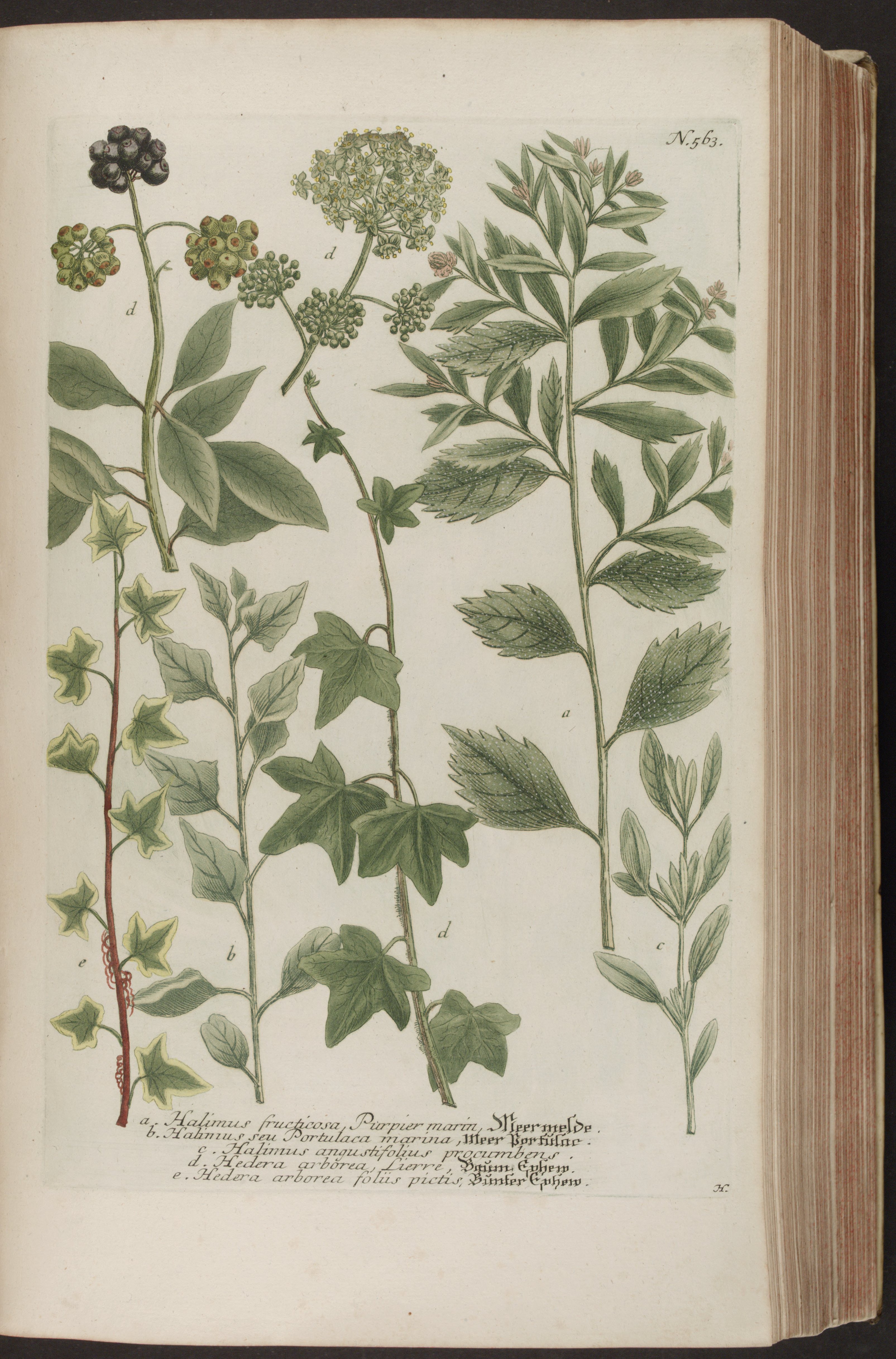 no full size  illustration available (3a)