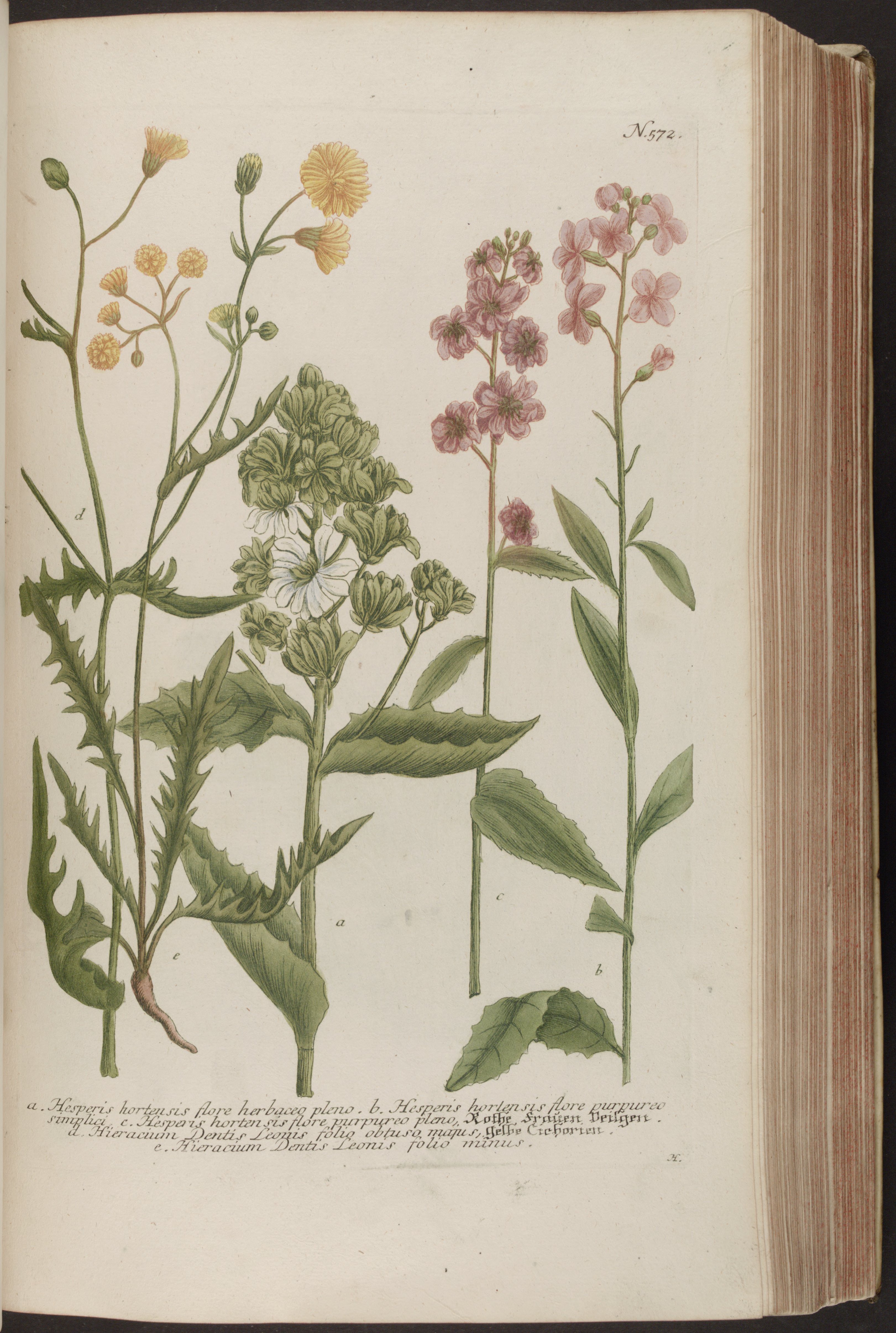 no full size  illustration available (3a)