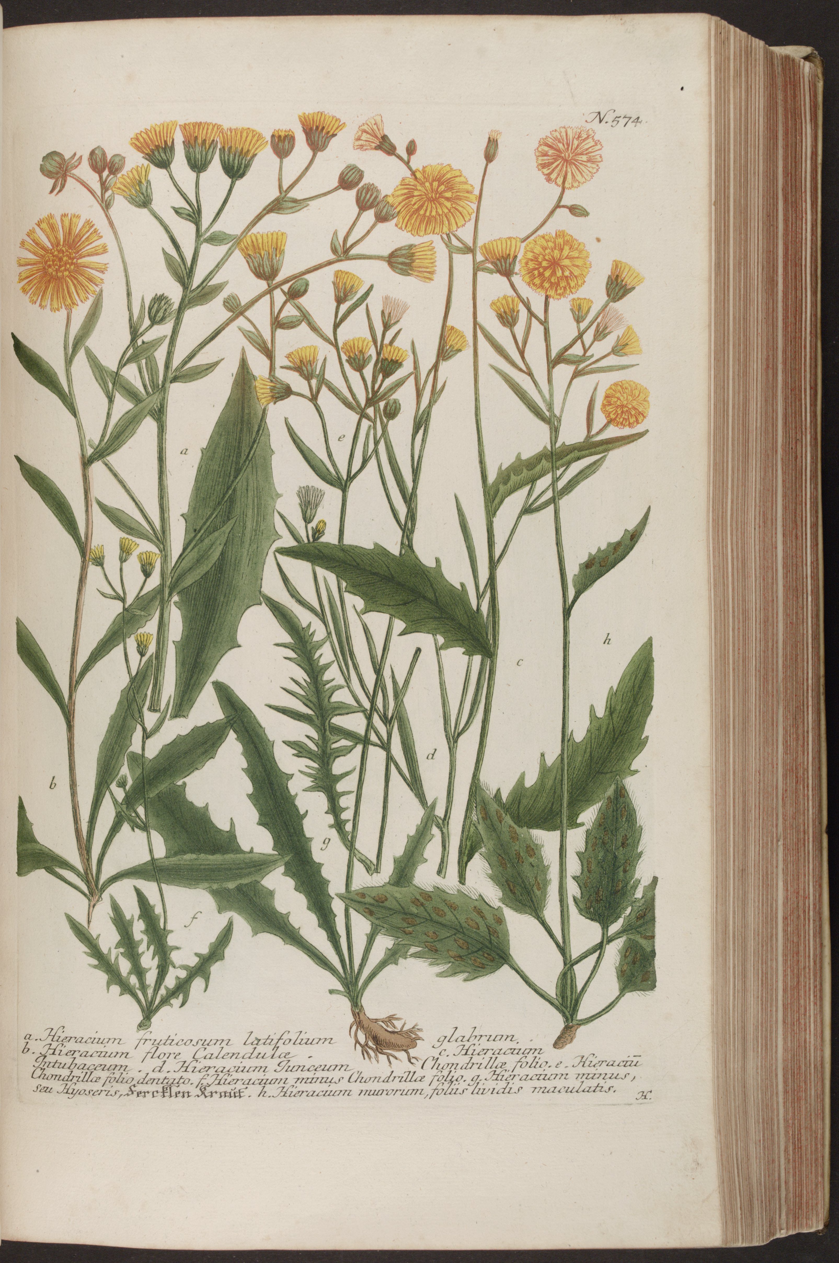 no full size  illustration available (3a)