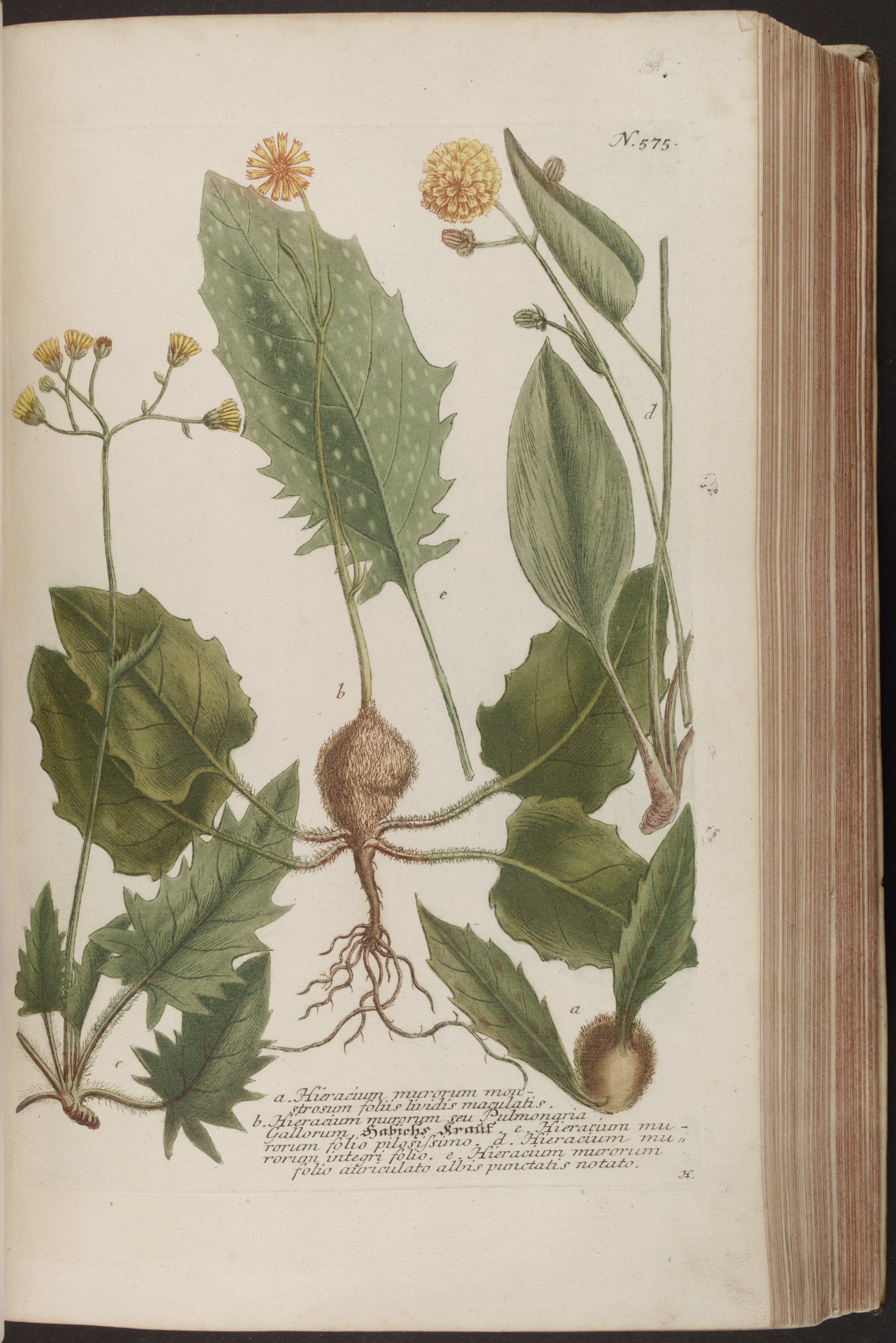 no full size  illustration available (3a)