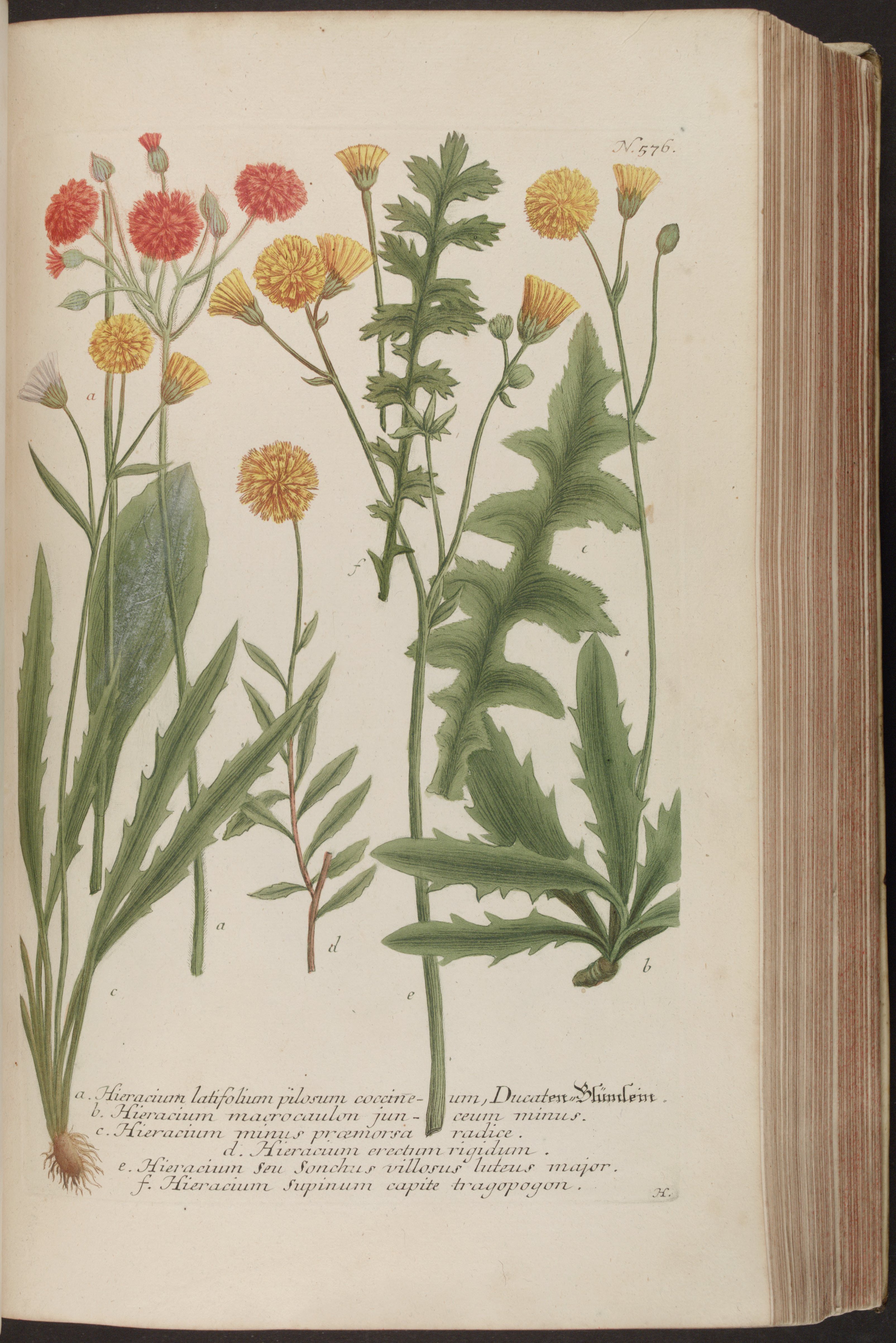 no full size  illustration available (3a)