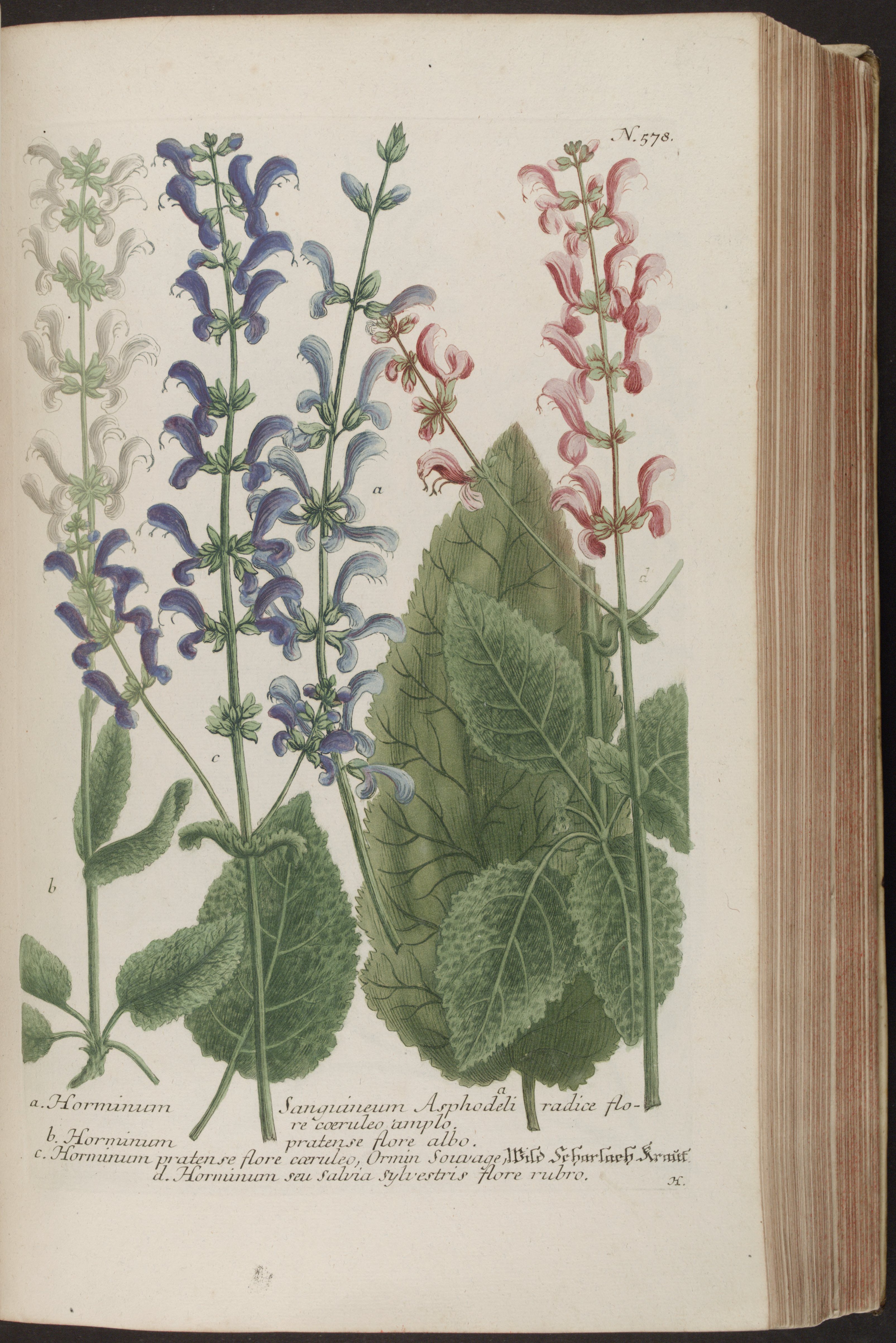 no full size  illustration available (3a)