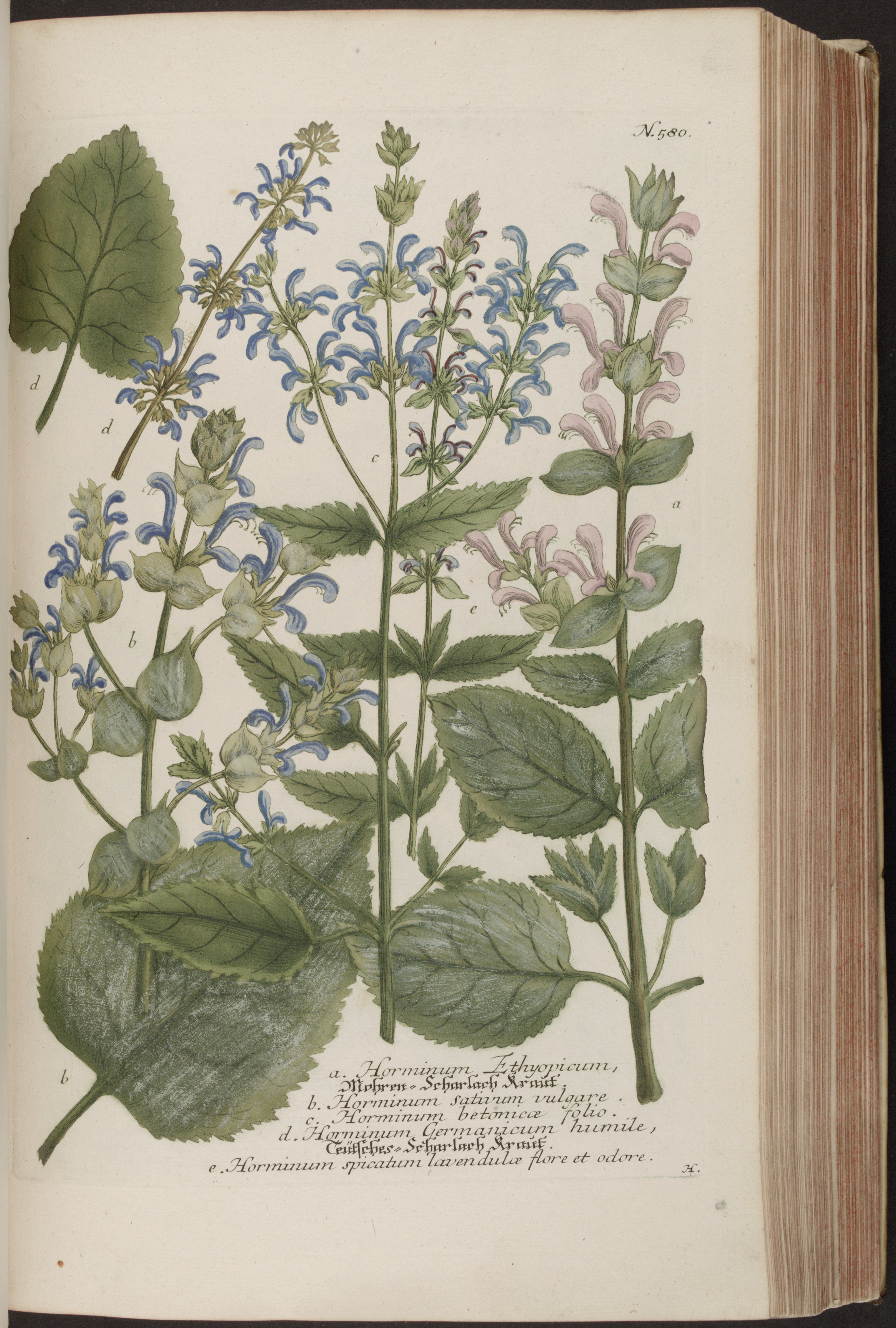 no full size  illustration available (3a)