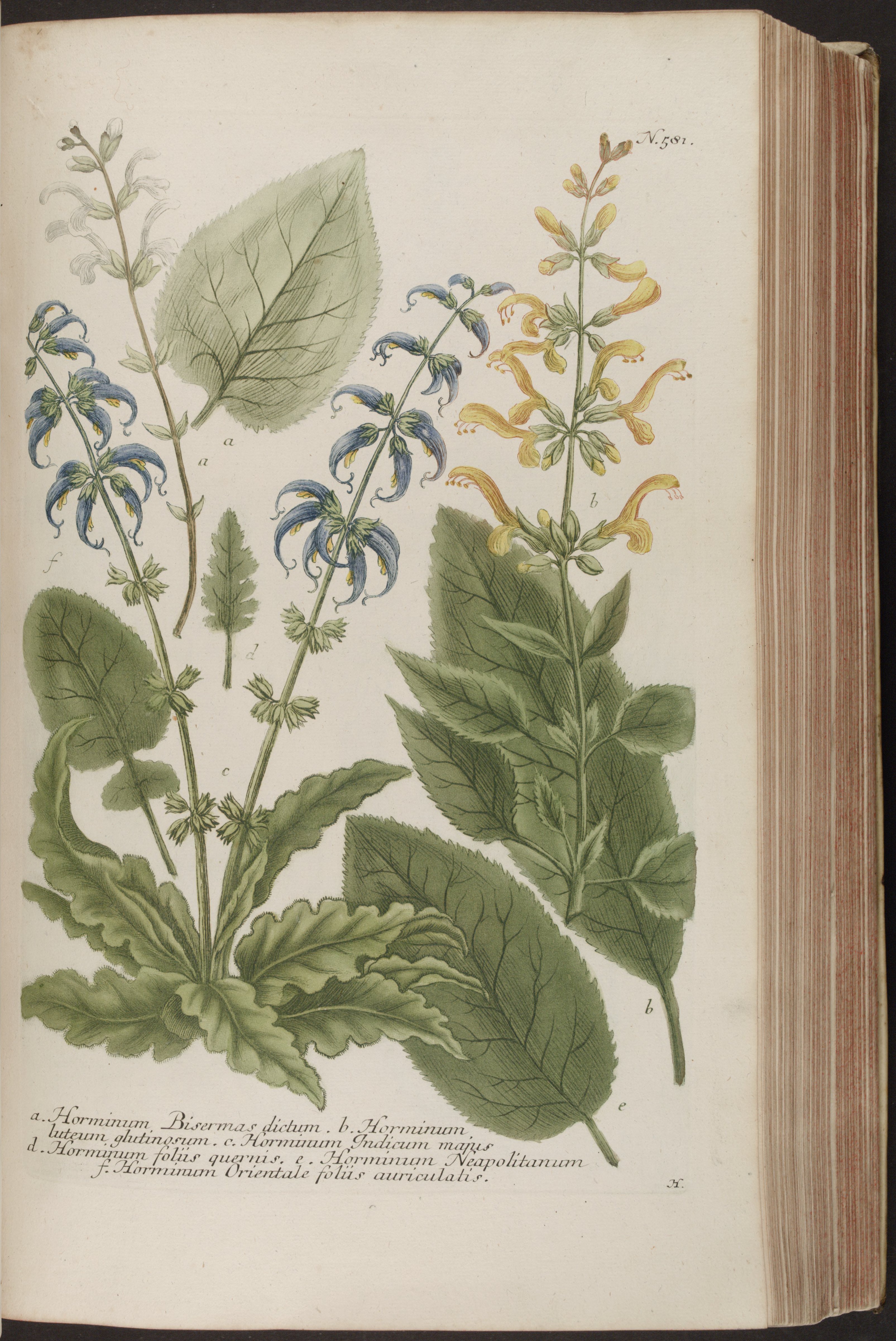 no full size  illustration available (3a)