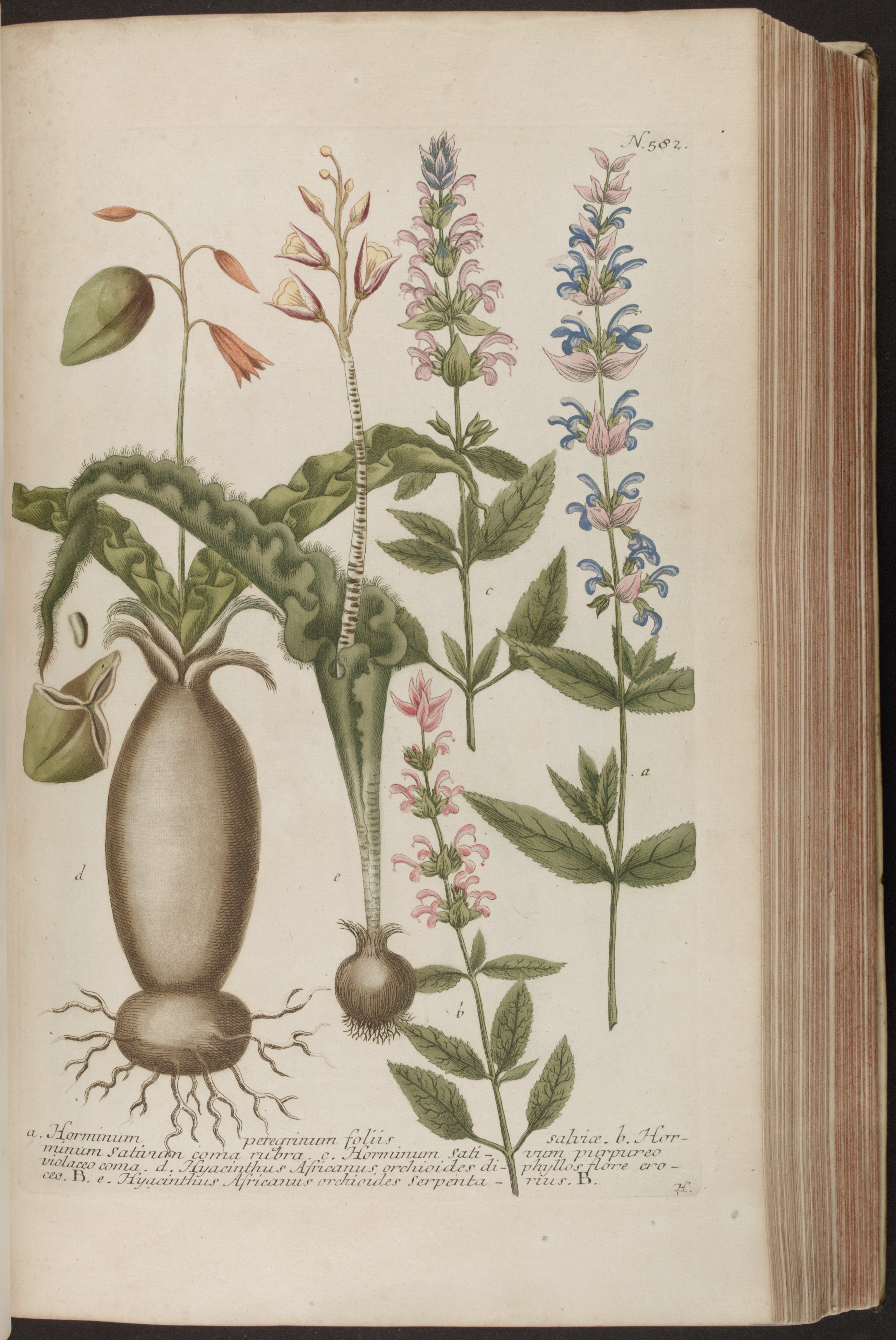 no full size  illustration available (3a)