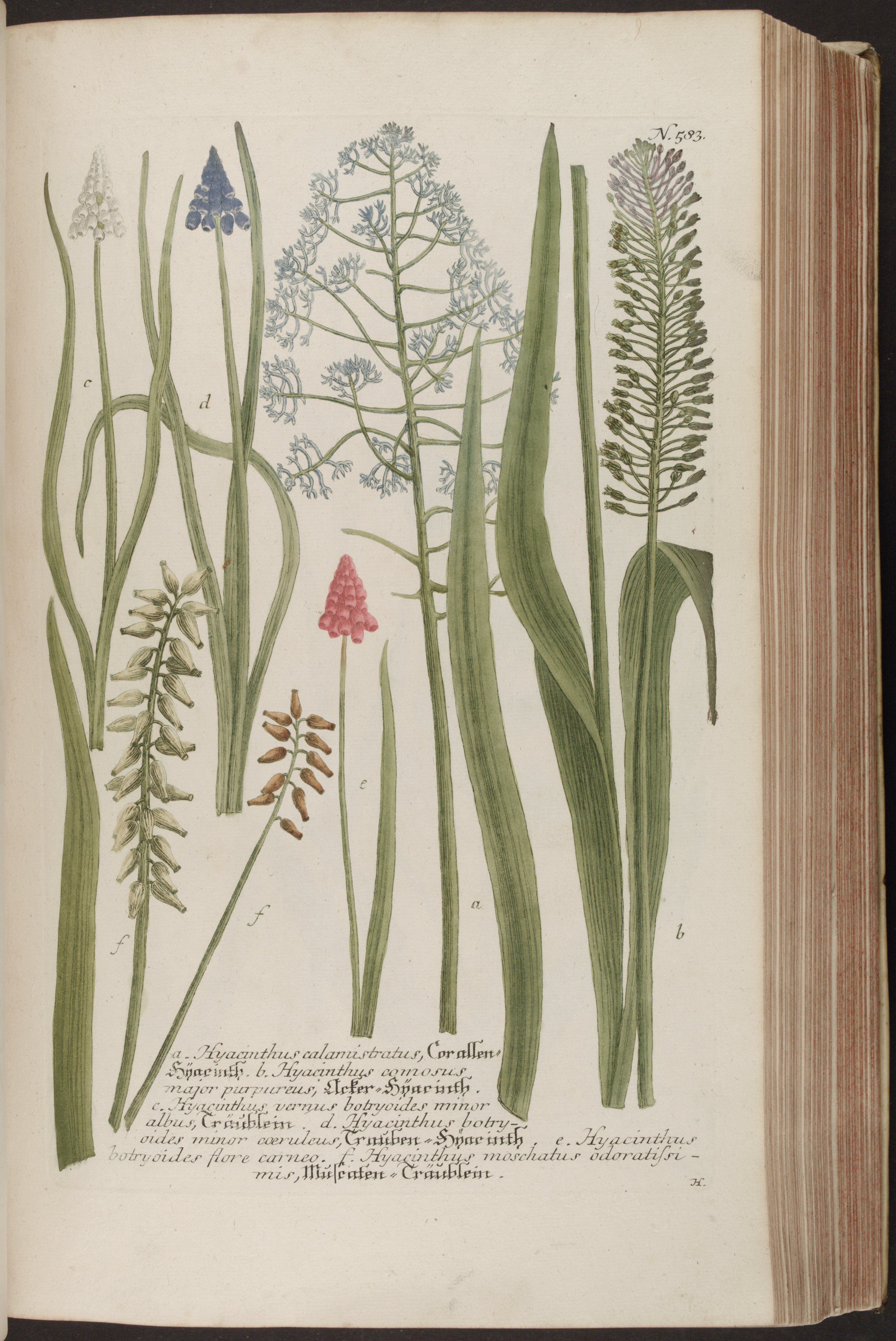 no full size  illustration available (3a)