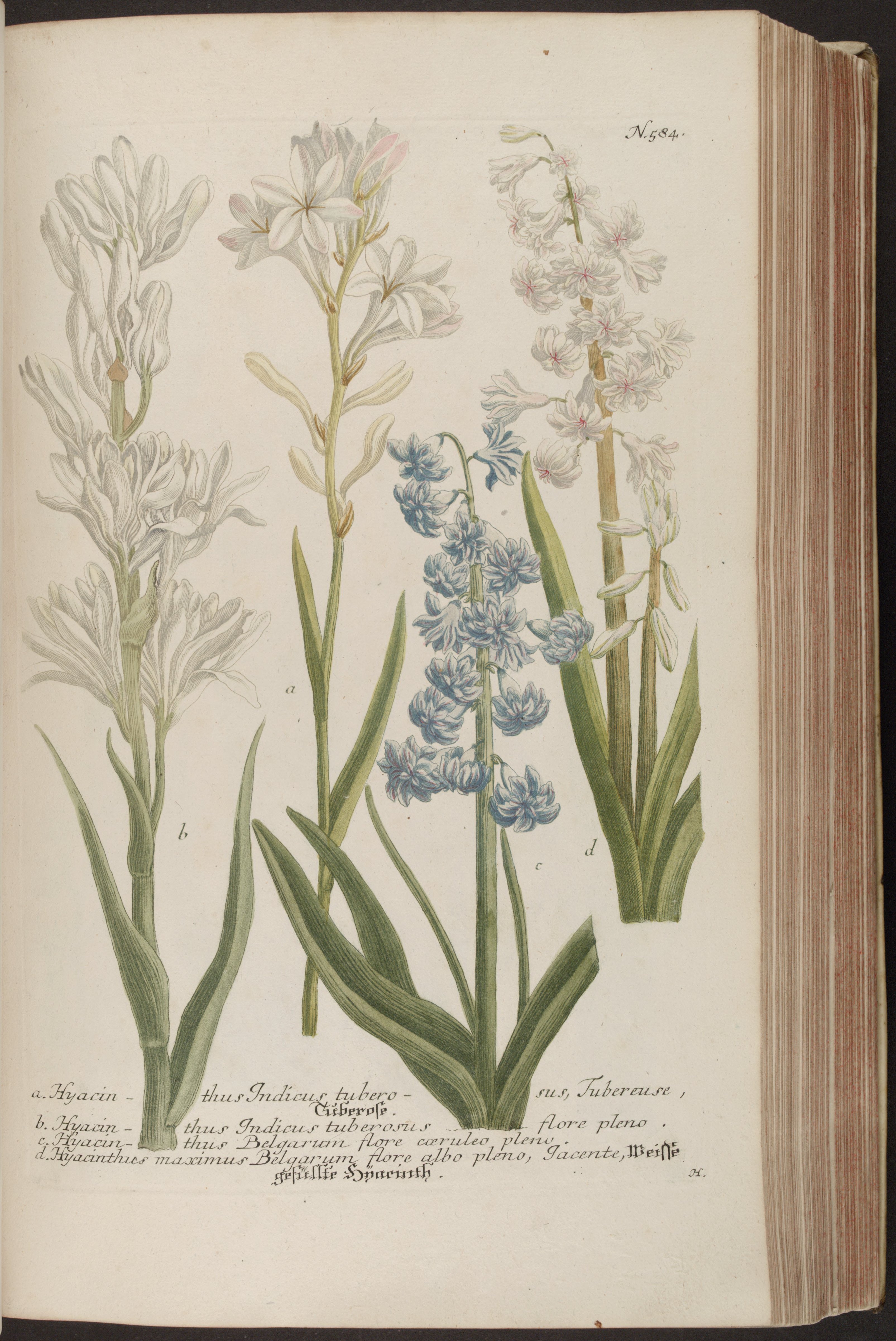 no full size  illustration available (3a)