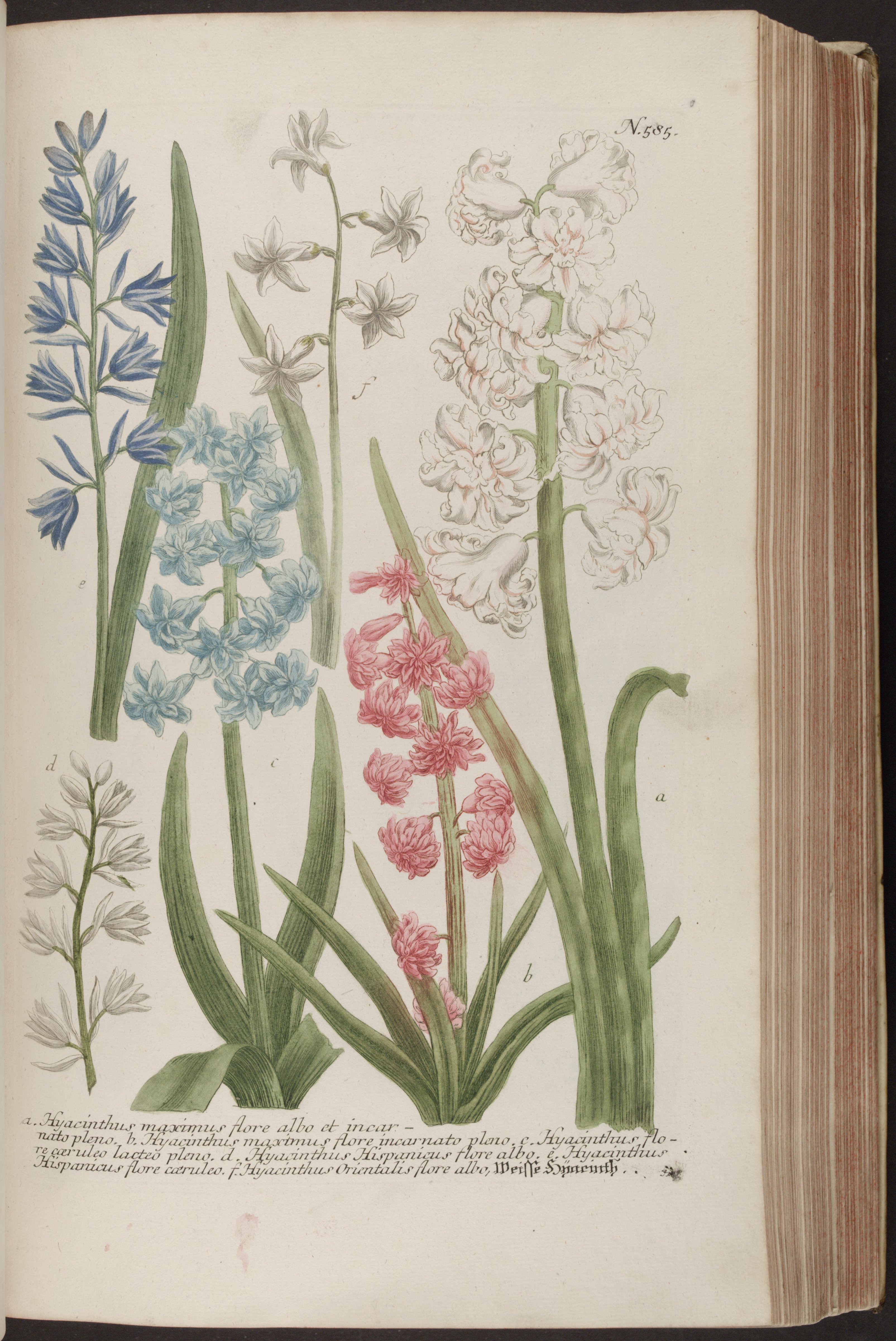 no full size  illustration available (3a)