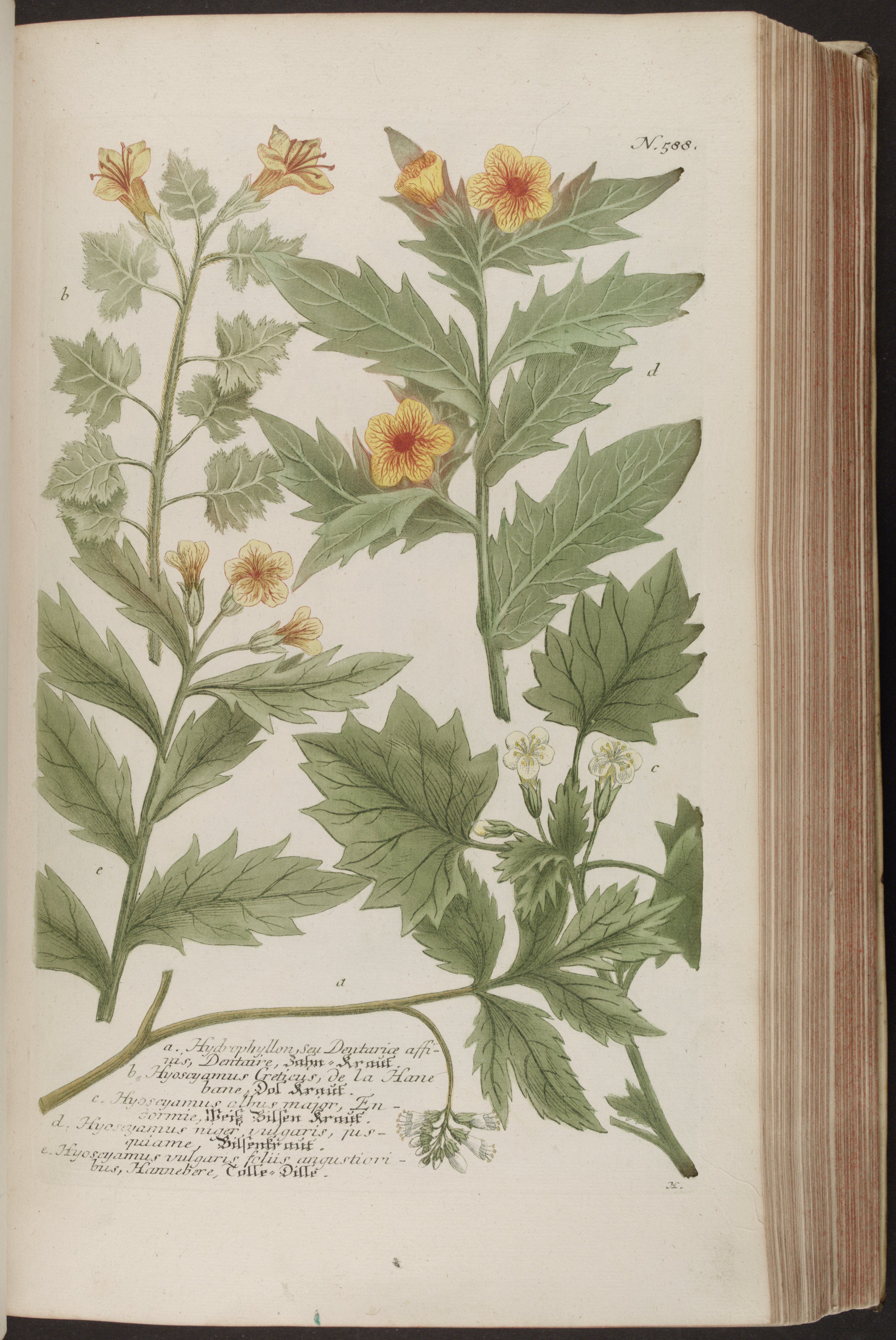 no full size  illustration available (3a)