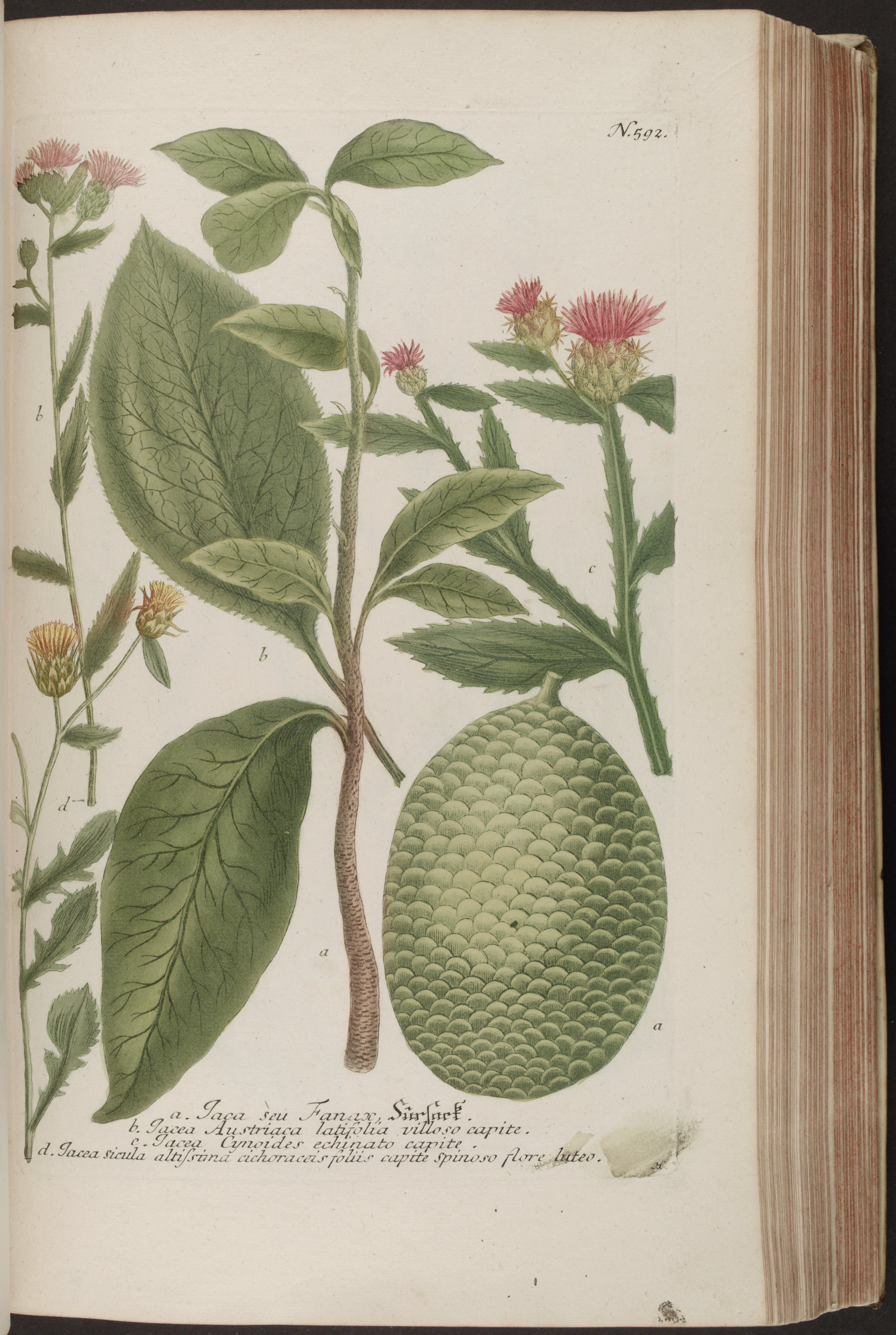 no full size  illustration available (3a)