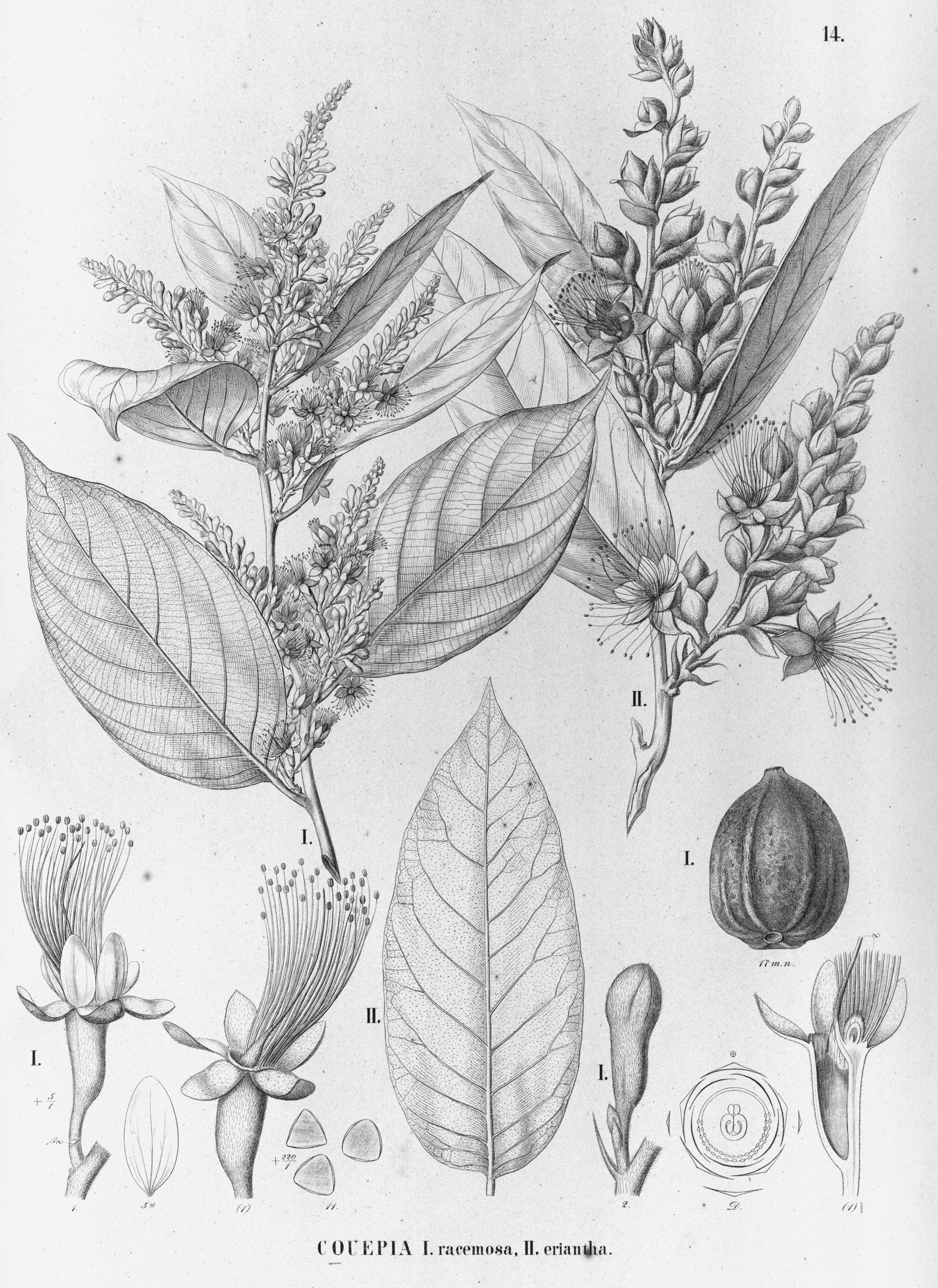 no full size  illustration available (3a)