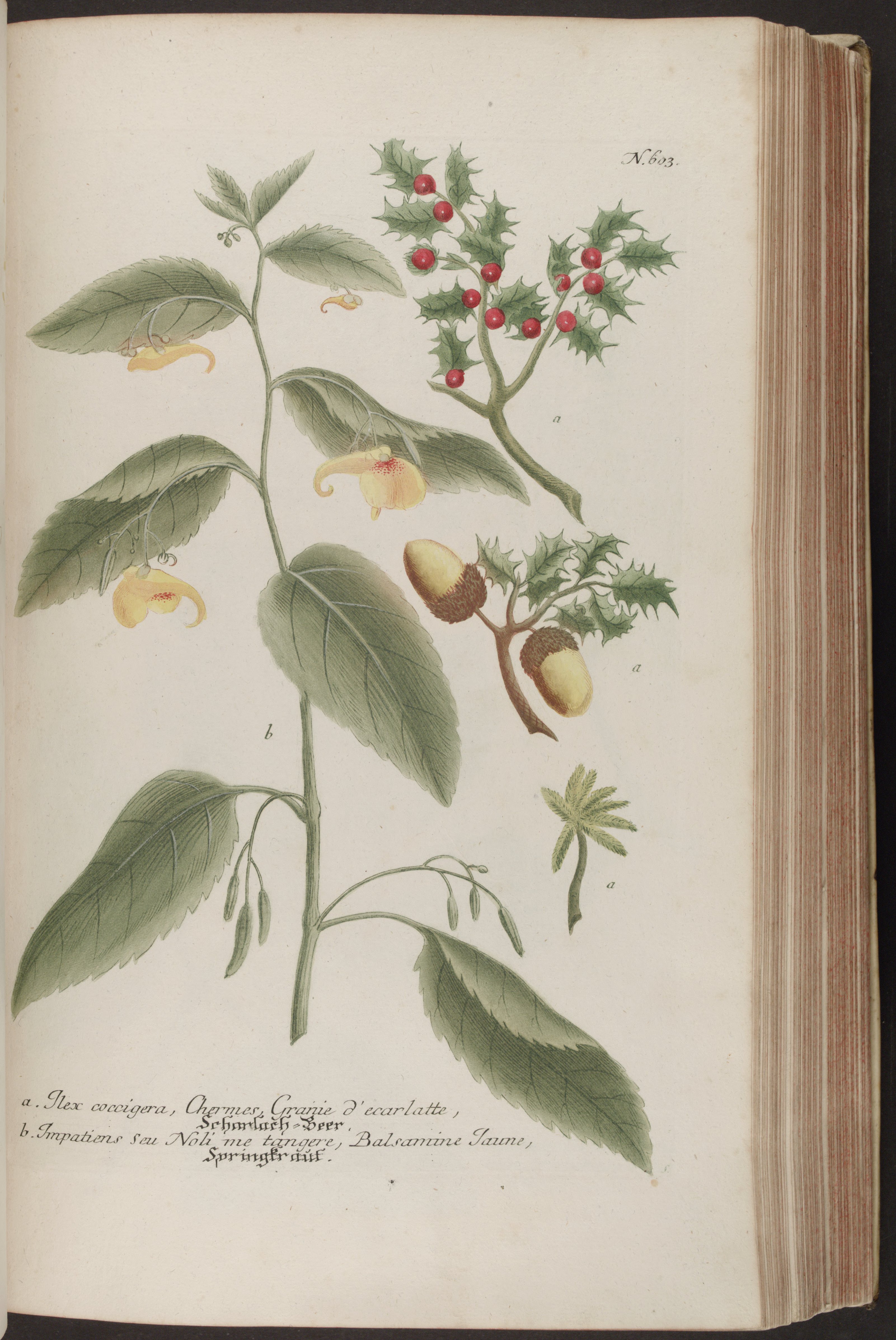 no full size  illustration available (3a)