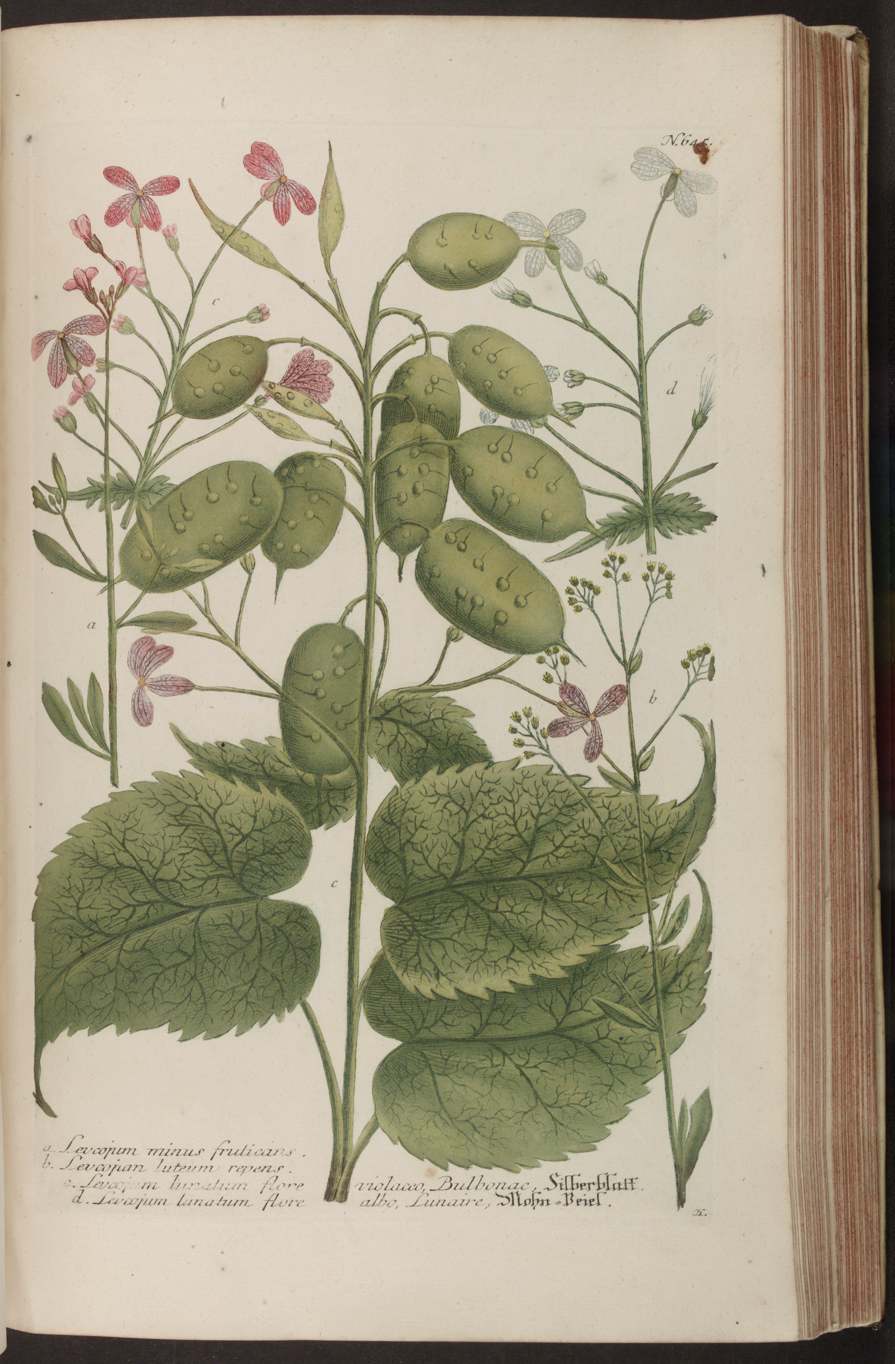 no full size  illustration available (3a)