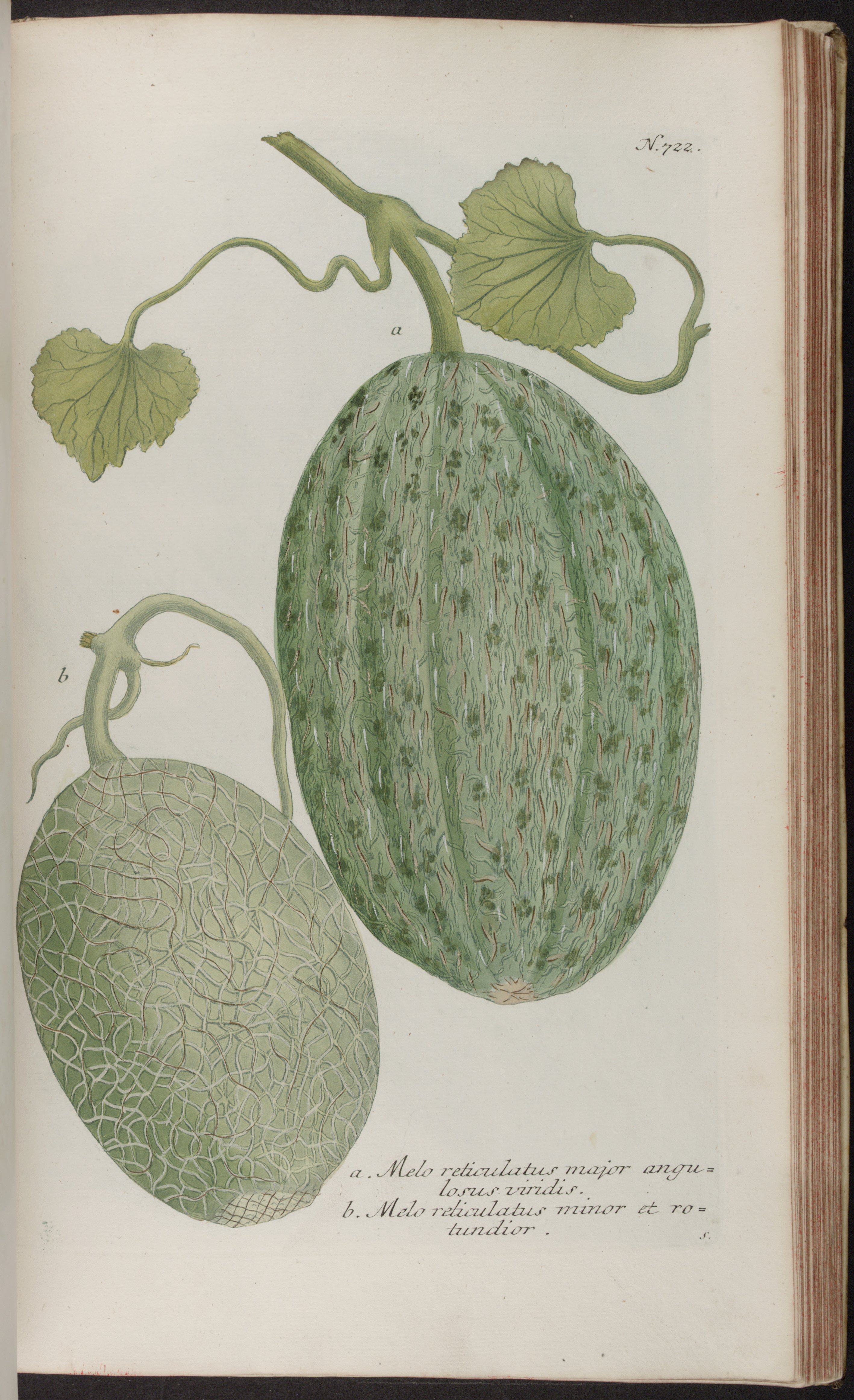 no full size  illustration available (3a)