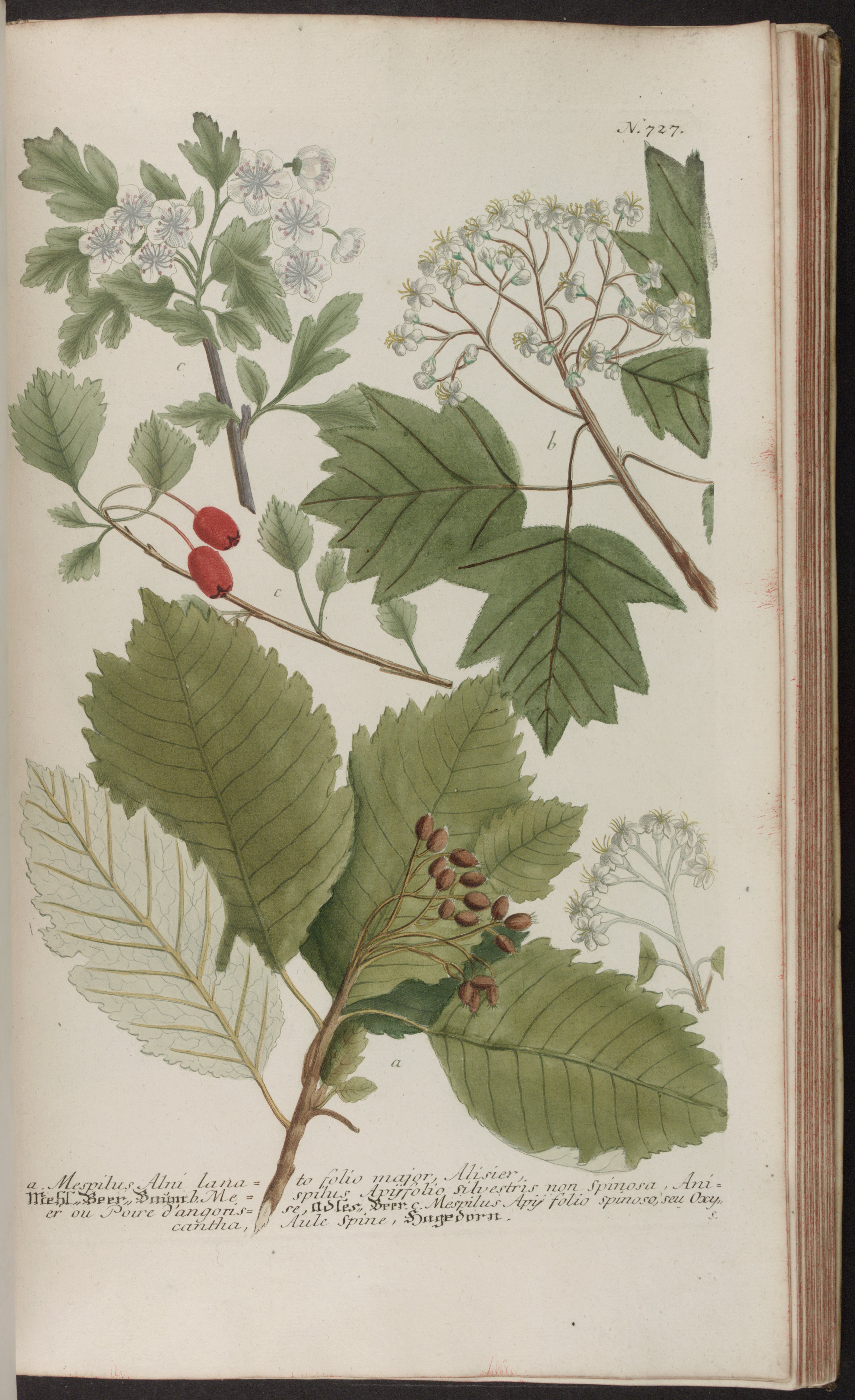 no full size  illustration available (3a)