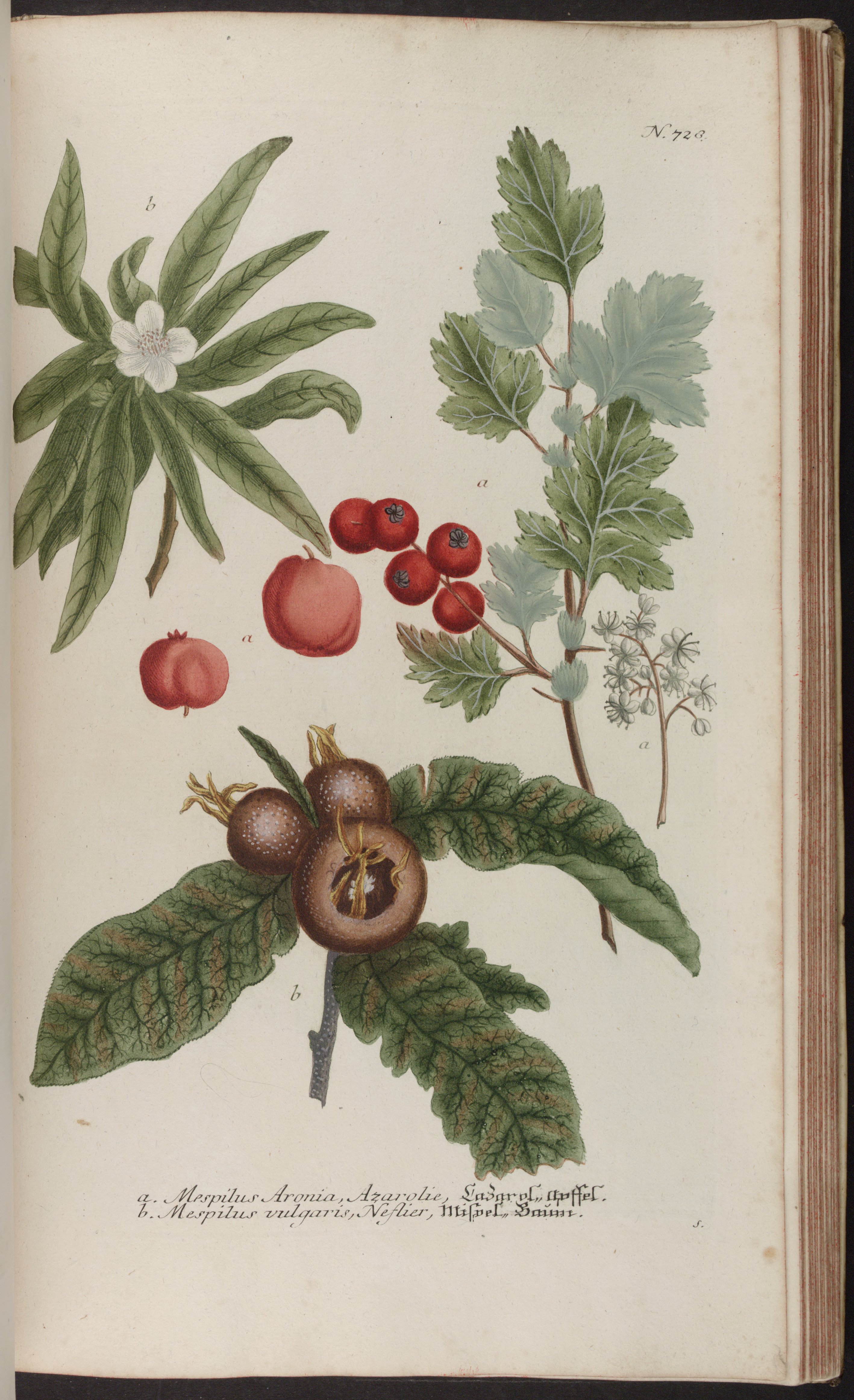 no full size  illustration available (3a)