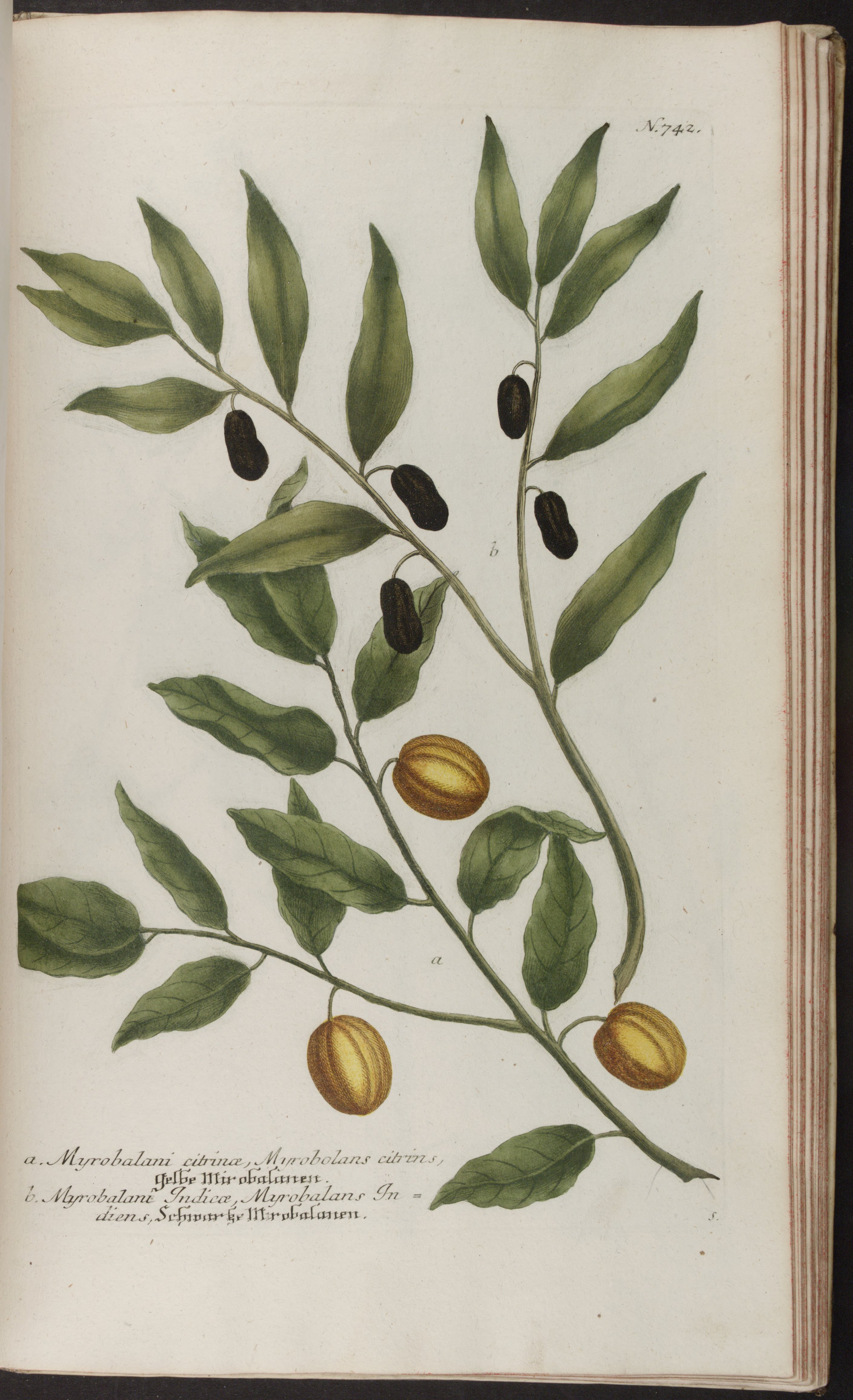 no full size  illustration available (3a)