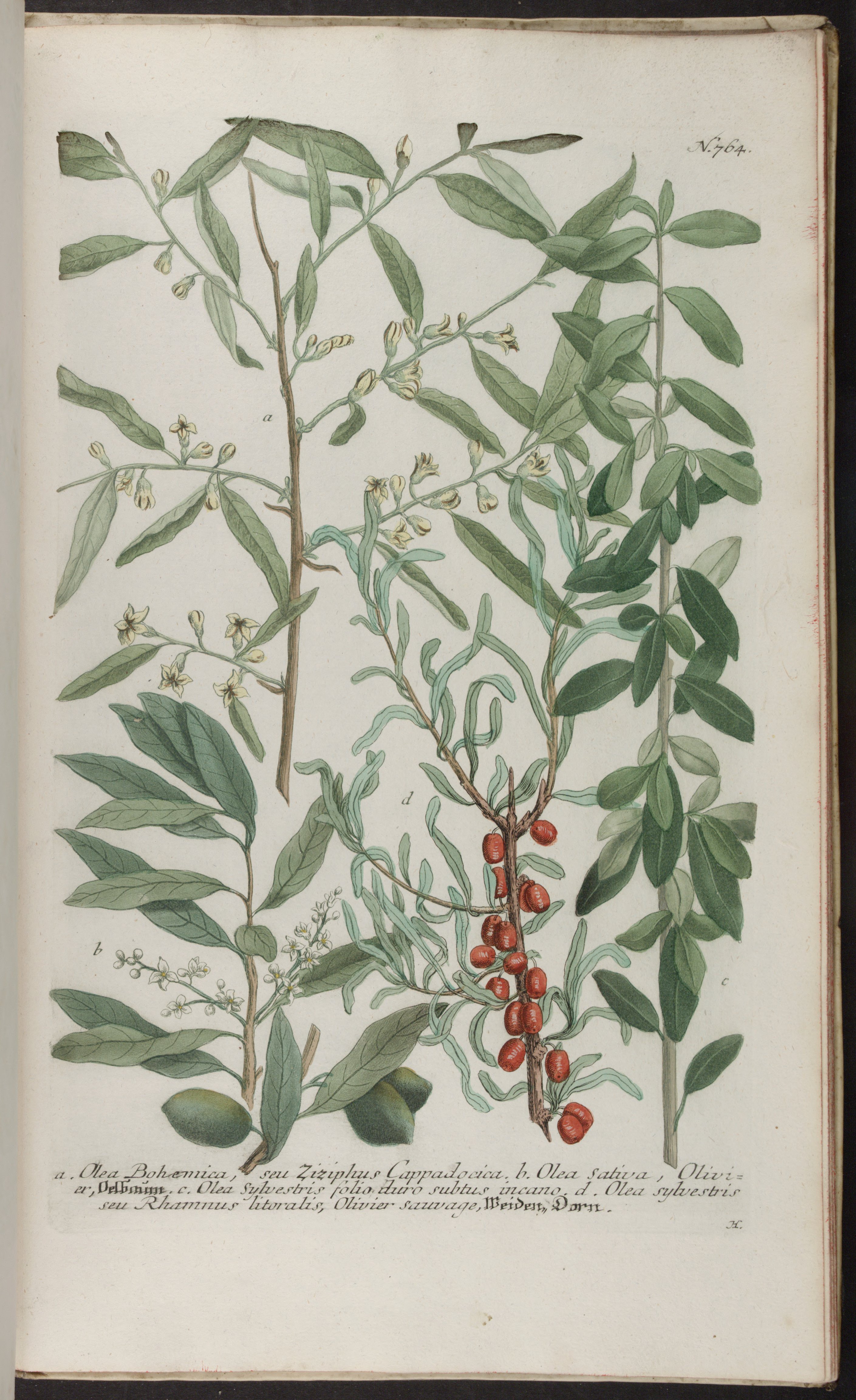 no full size  illustration available (3a)