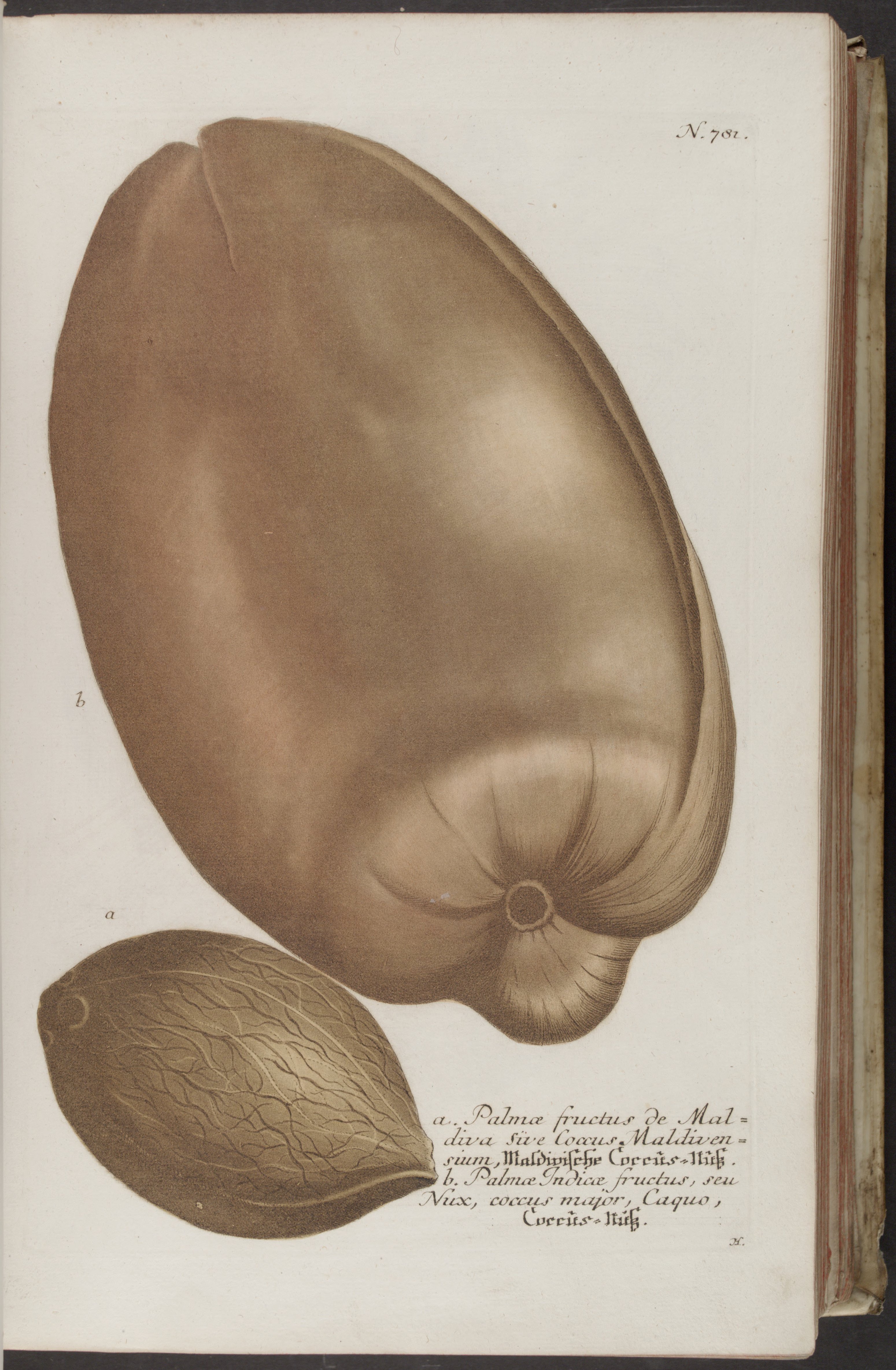 no full size  illustration available (3a)