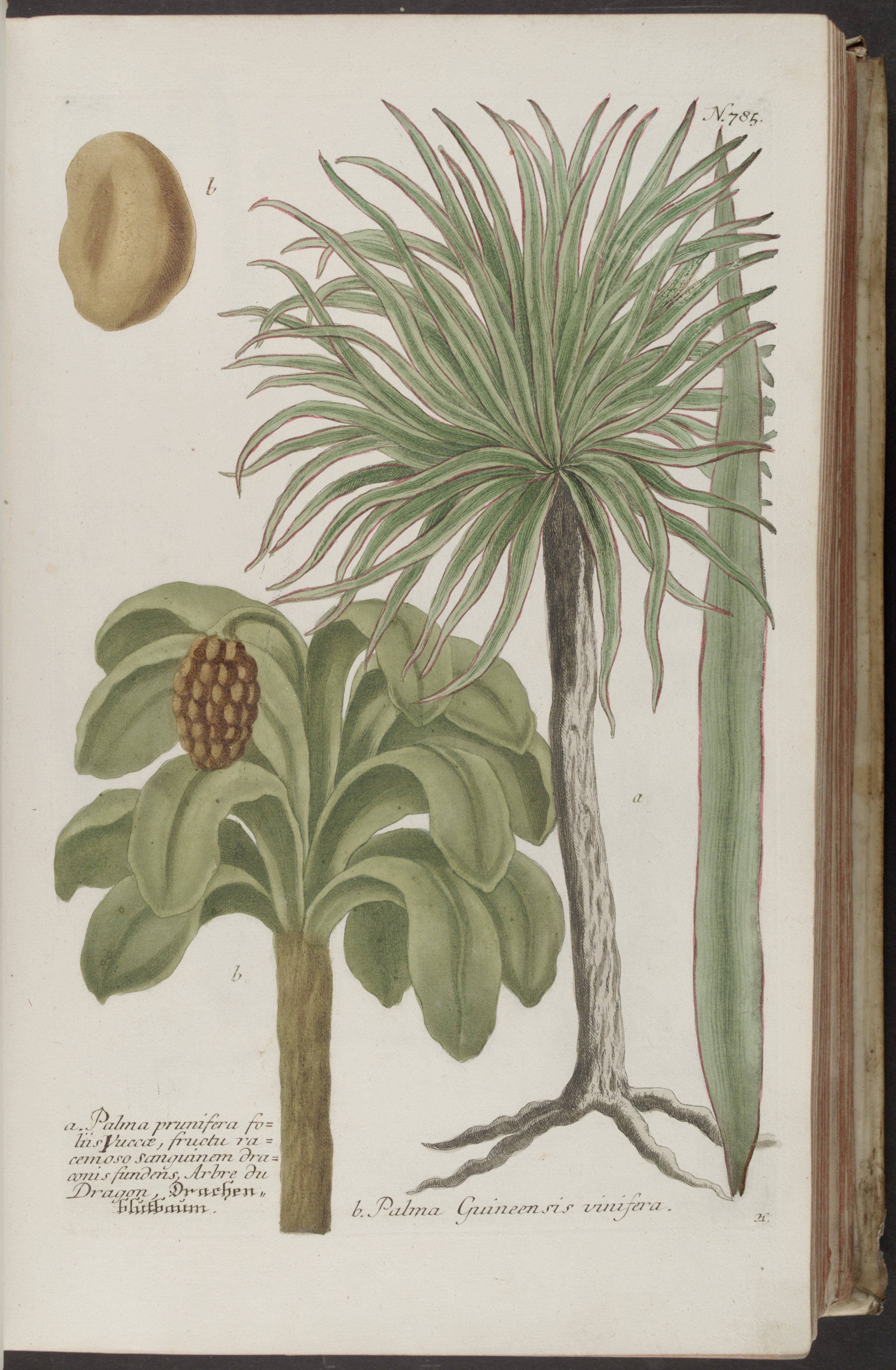 no full size  illustration available (3a)