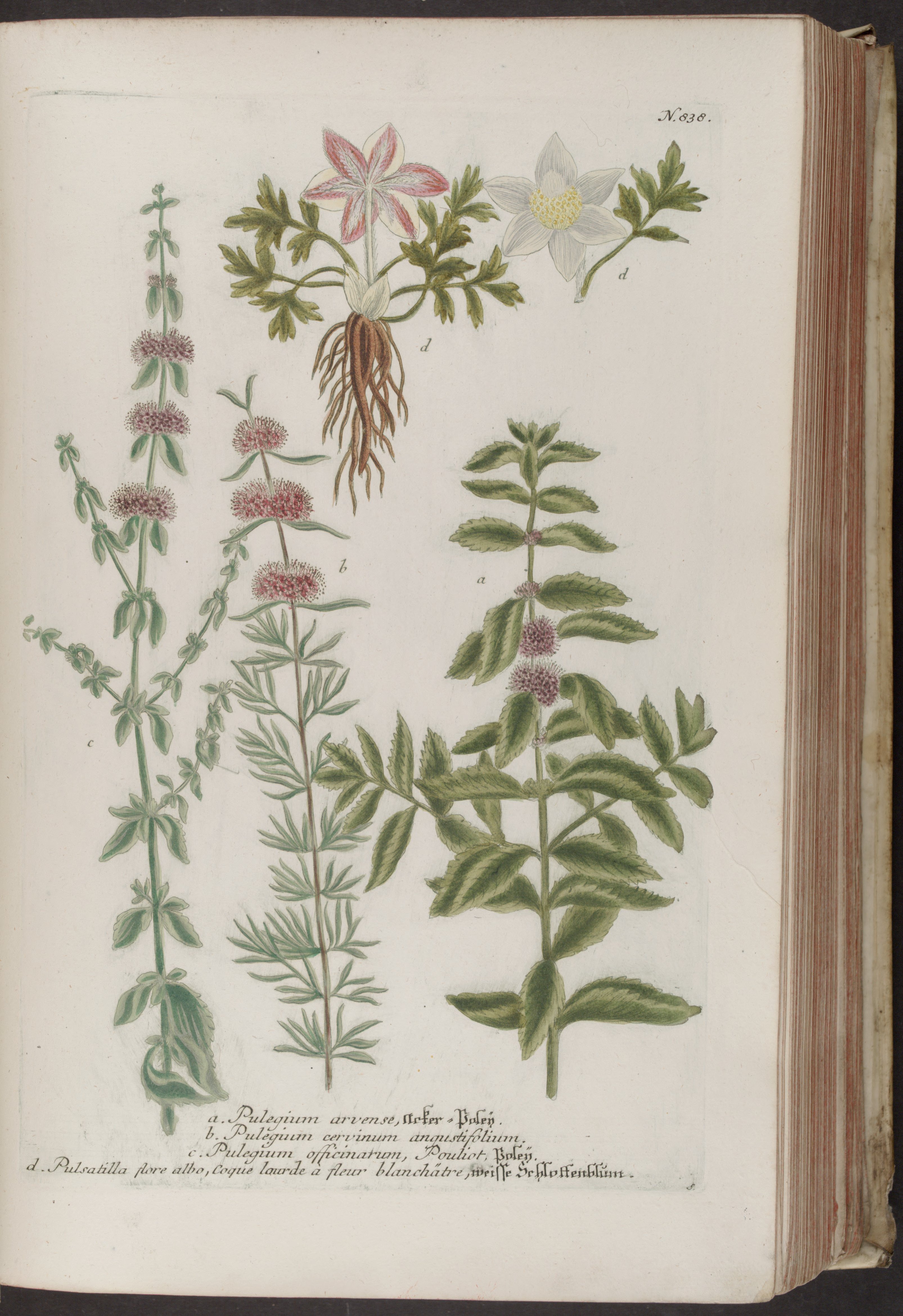 no full size  illustration available (3a)