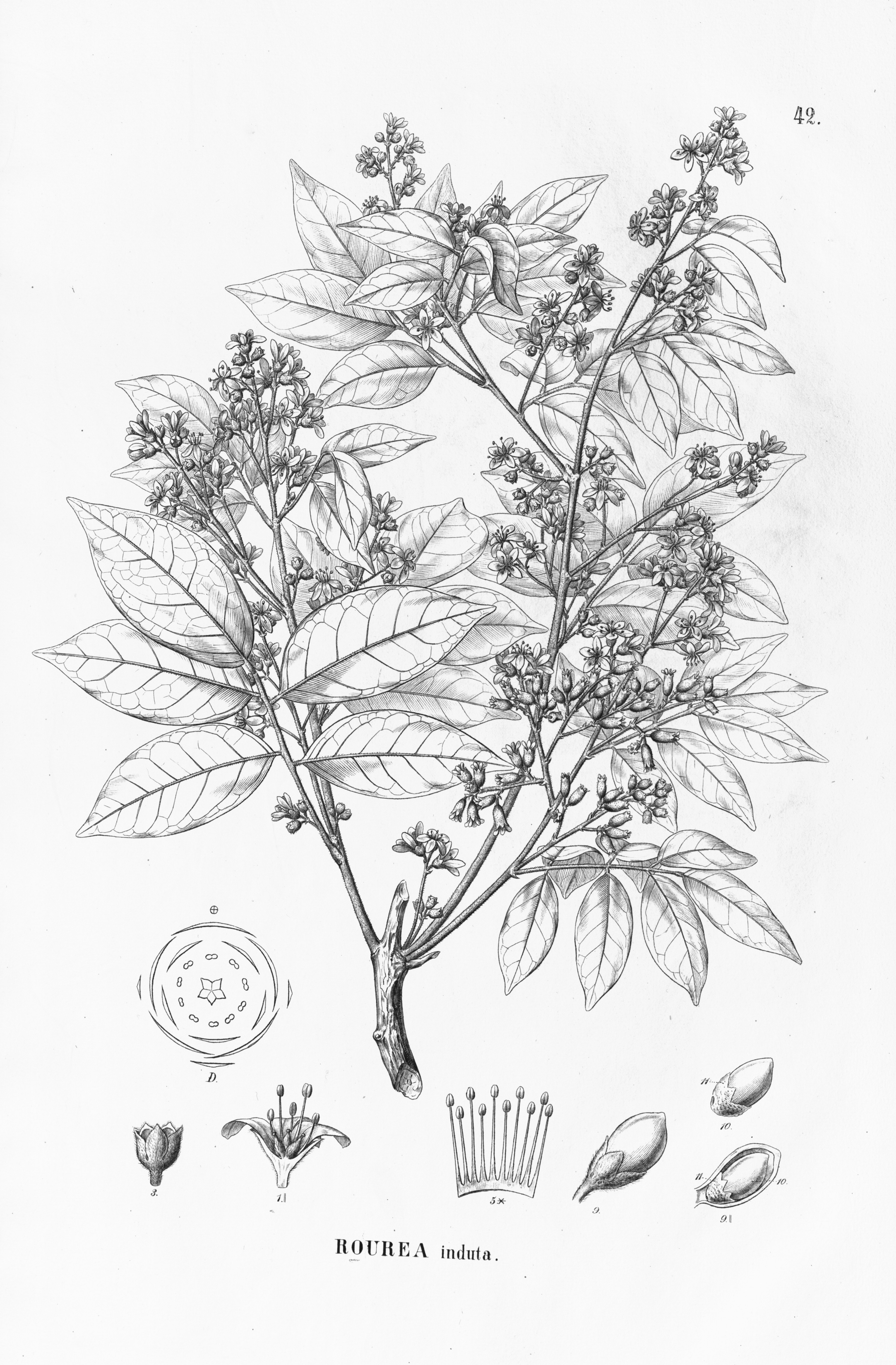 no full size  illustration available (3a)