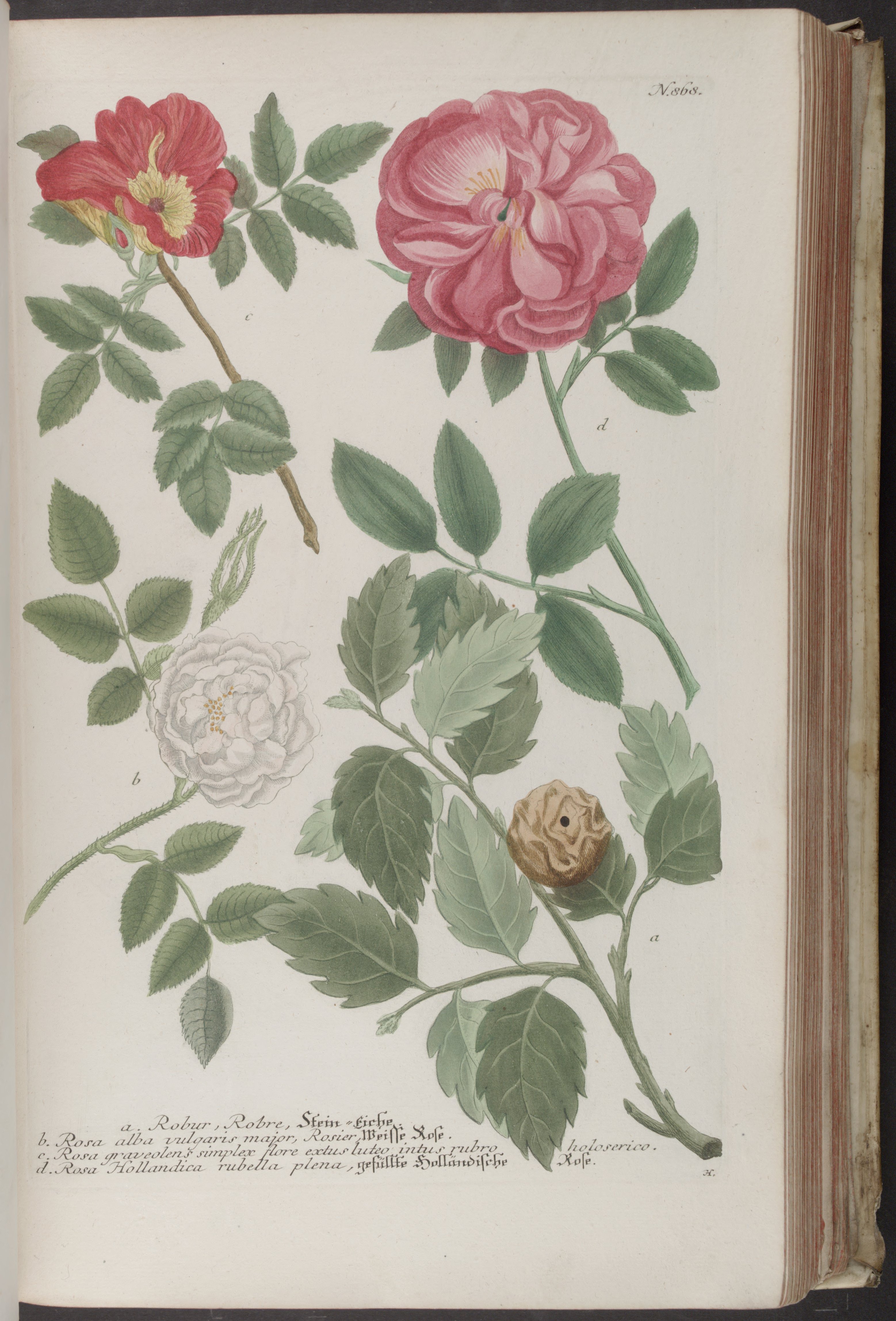 no full size  illustration available (3a)