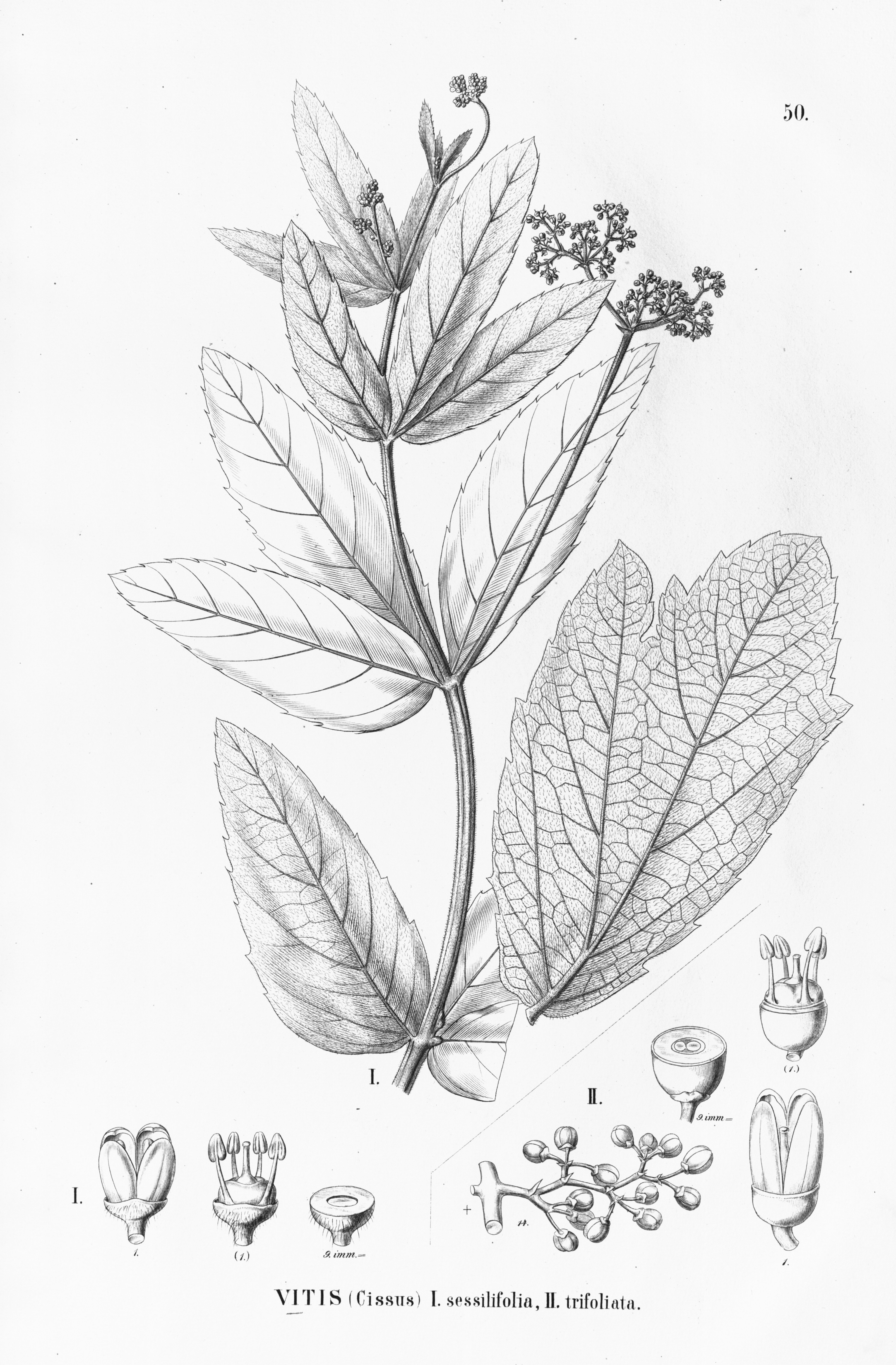 no full size  illustration available (3a)