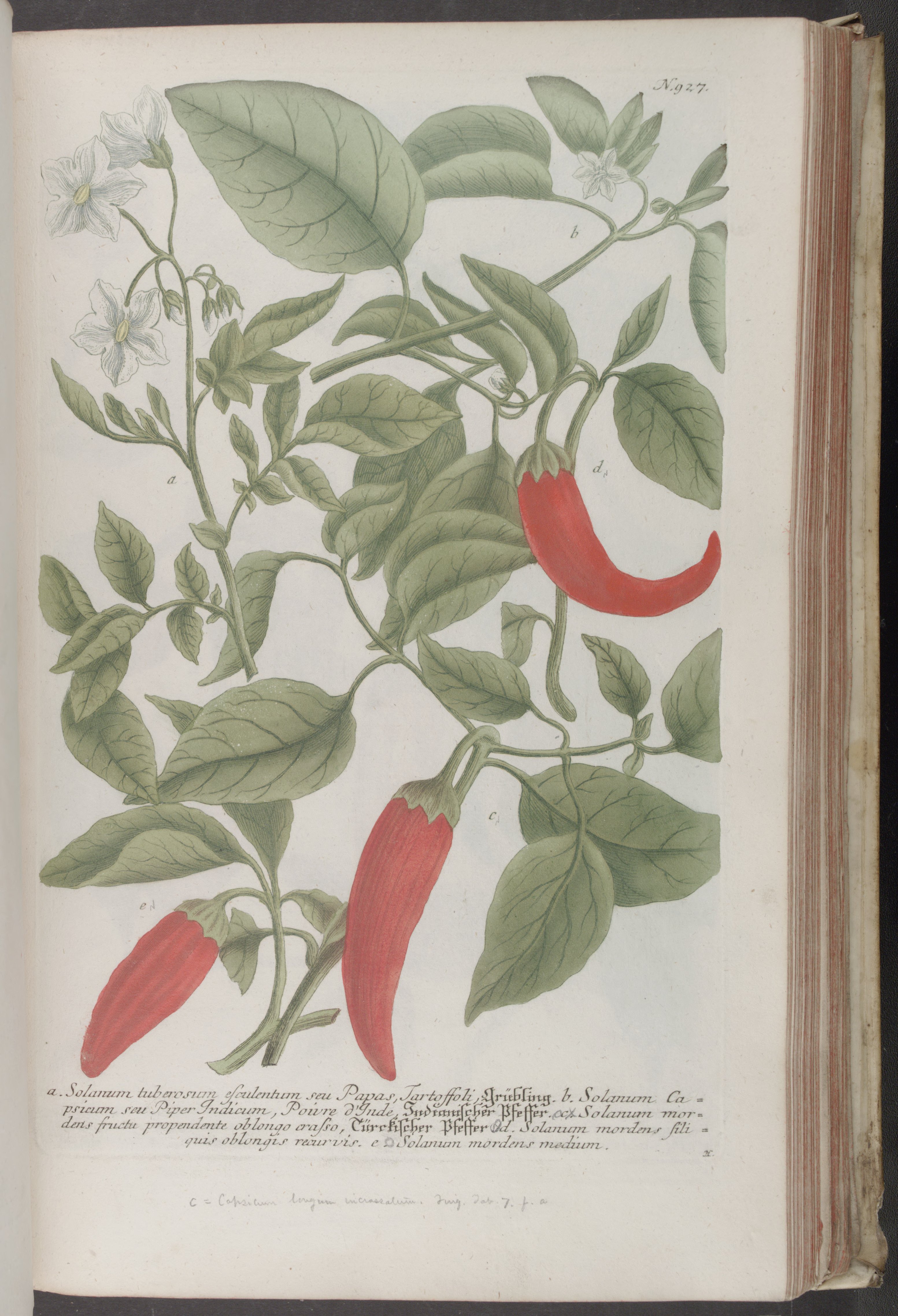 no full size  illustration available (3a)