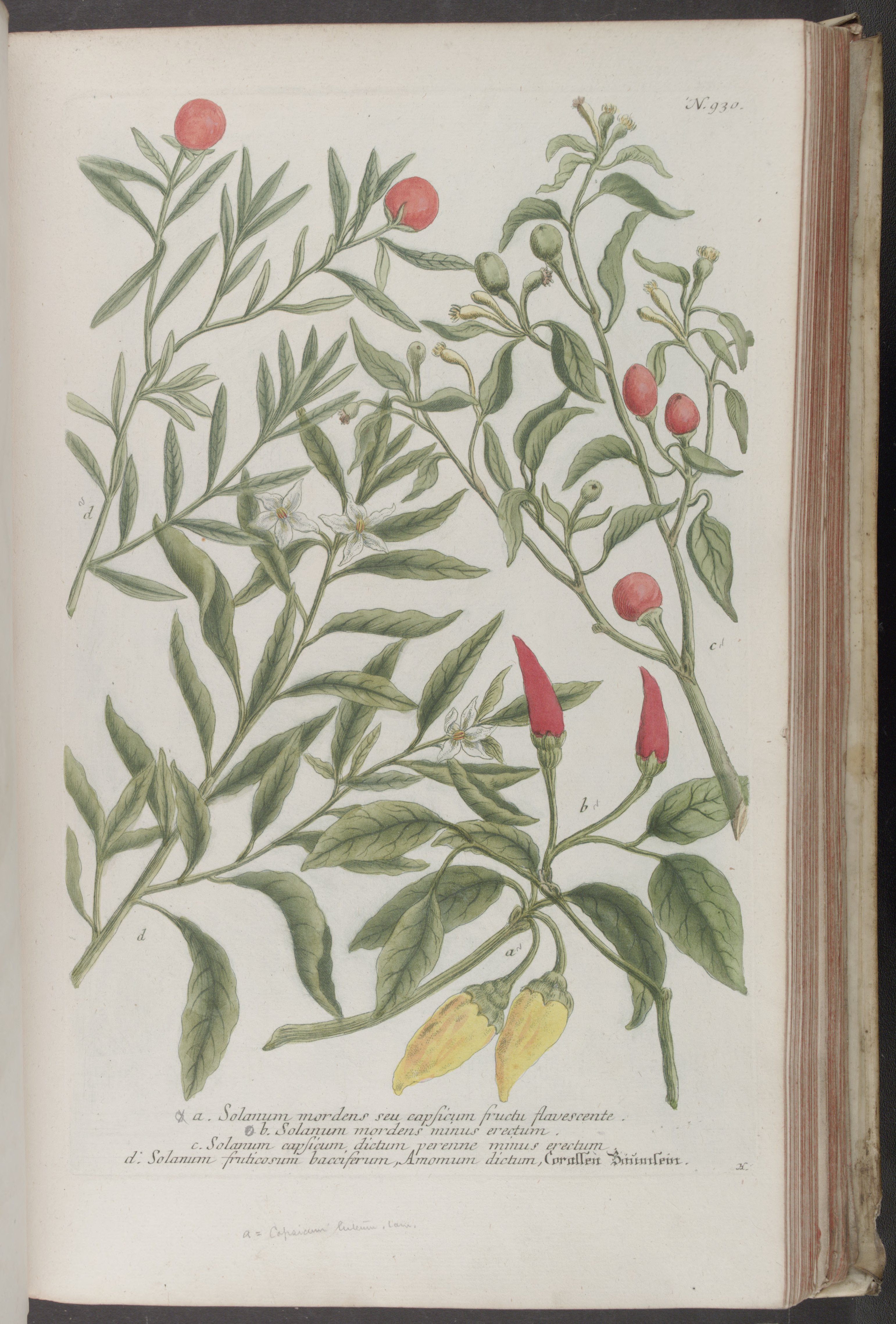 no full size  illustration available (3a)