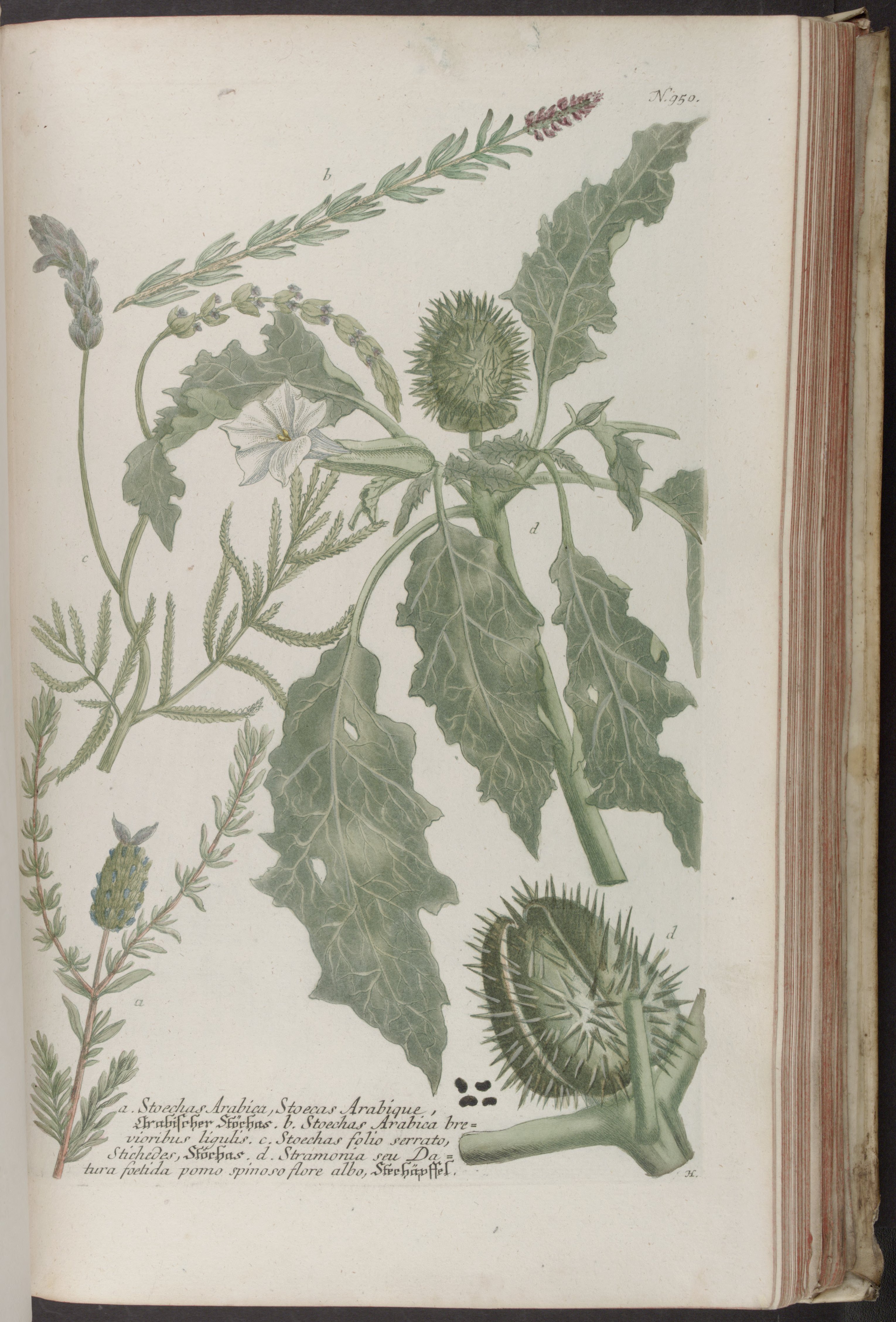 no full size  illustration available (3a)