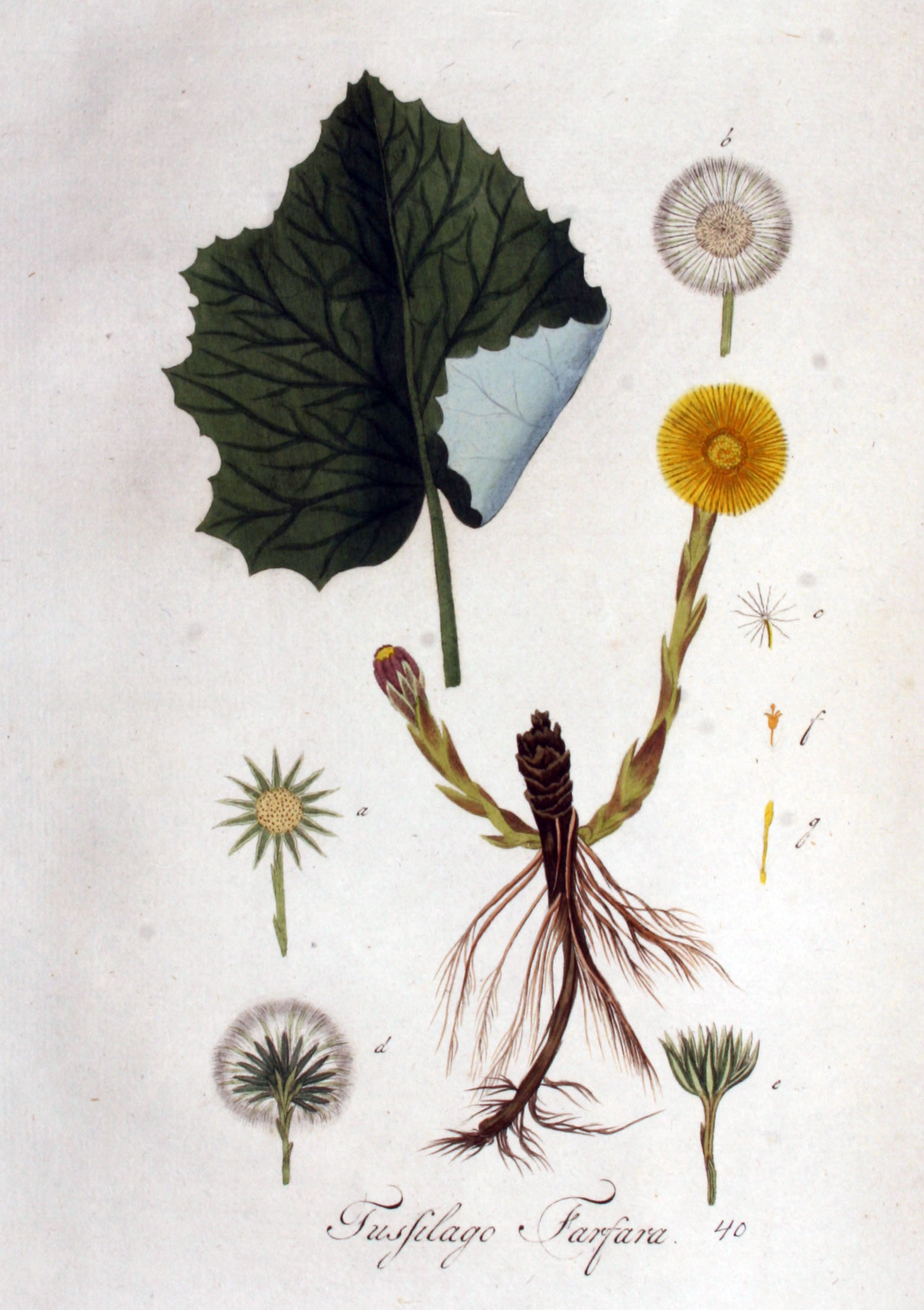 no full size  illustration available (3a)