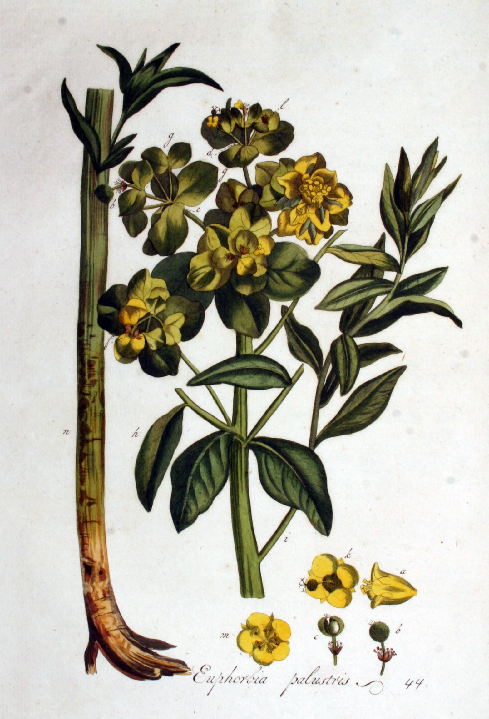 no full size  illustration available (3a)